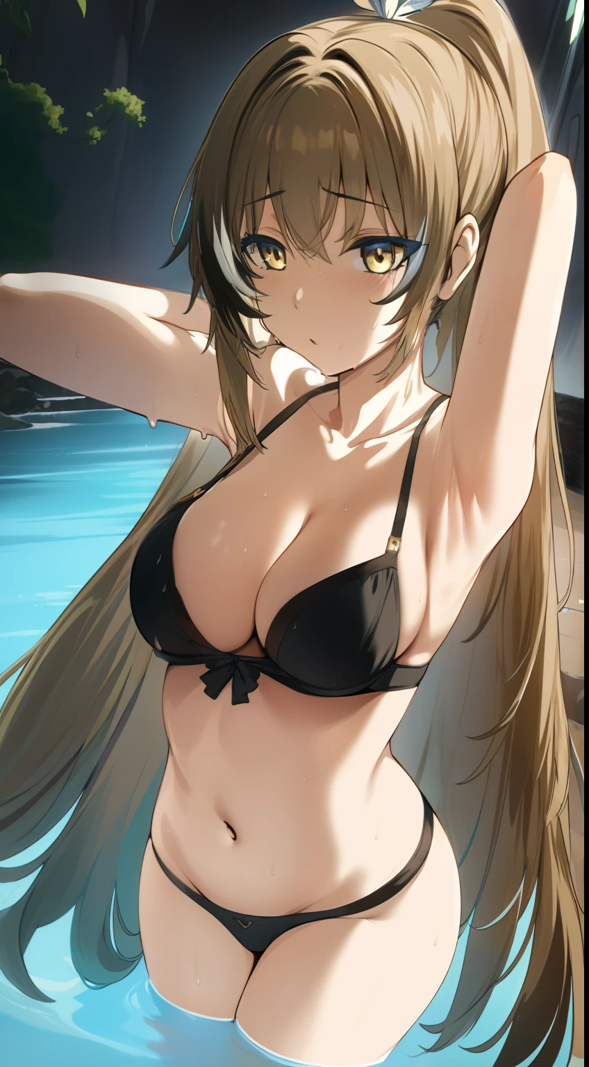 2D, HD, Detailed details, Detailed landscapes, beautiful lights, Beautiful Shadows, top-quality, Highly detailed, masterpiece, best quality, solo, 1girl, aamumei, very long hair, ponytail, ahoge, multicolored hair, feather hair ornament, hairclip, hews, hews styled, brown hair, looking at the viewer, anime-styled, (mini breasts), blush, navel, armpit, arms behind head, shiny skin, ((wet)), water, depth of field, black bra, black panty, full body,