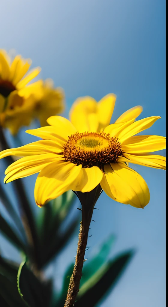 florals,colorful,Hazy background,and the sun was shining brightly,high detal,Perfectcomposition,first person perspective。