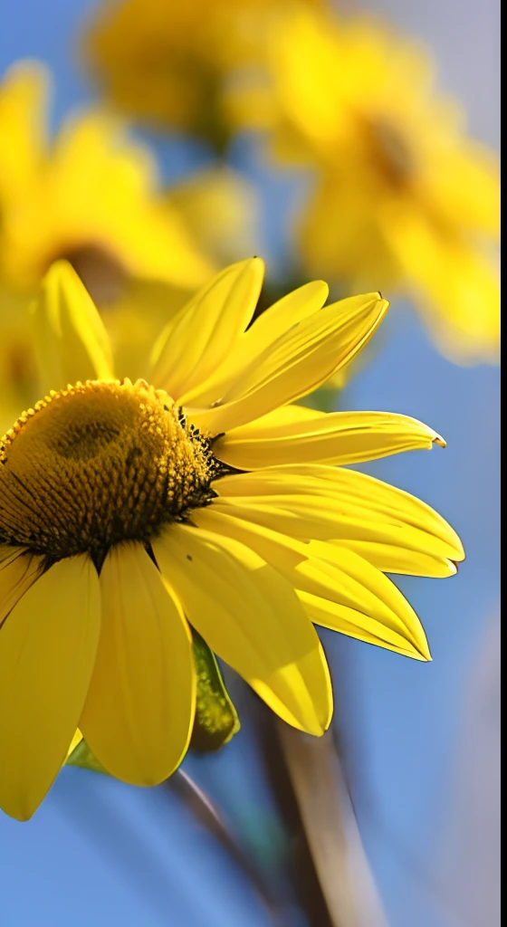 Yellow flowers,Hazy background,and the sun was shining brightly,high detal,Perfectcomposition,first person perspective。