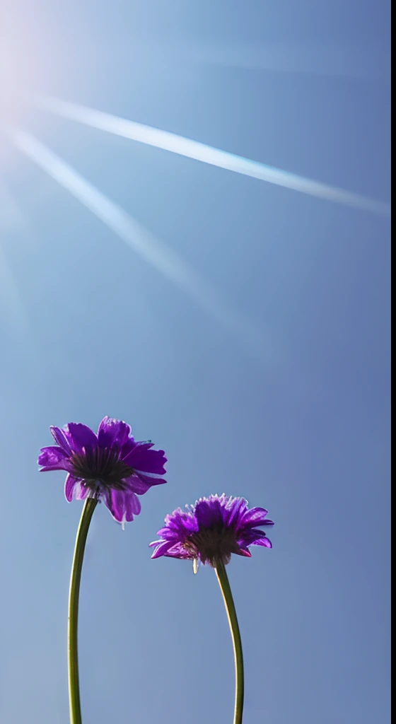 Purple flowers，Hazy background，and the sun was shining brightly，high detal，Perfectcomposition，first person perspective。