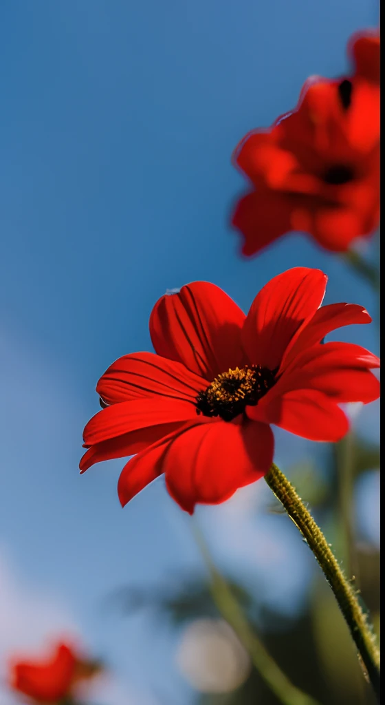 Red flowers，Hazy background，and the sun was shining brightly，high detal，Perfectcomposition，first person perspective。