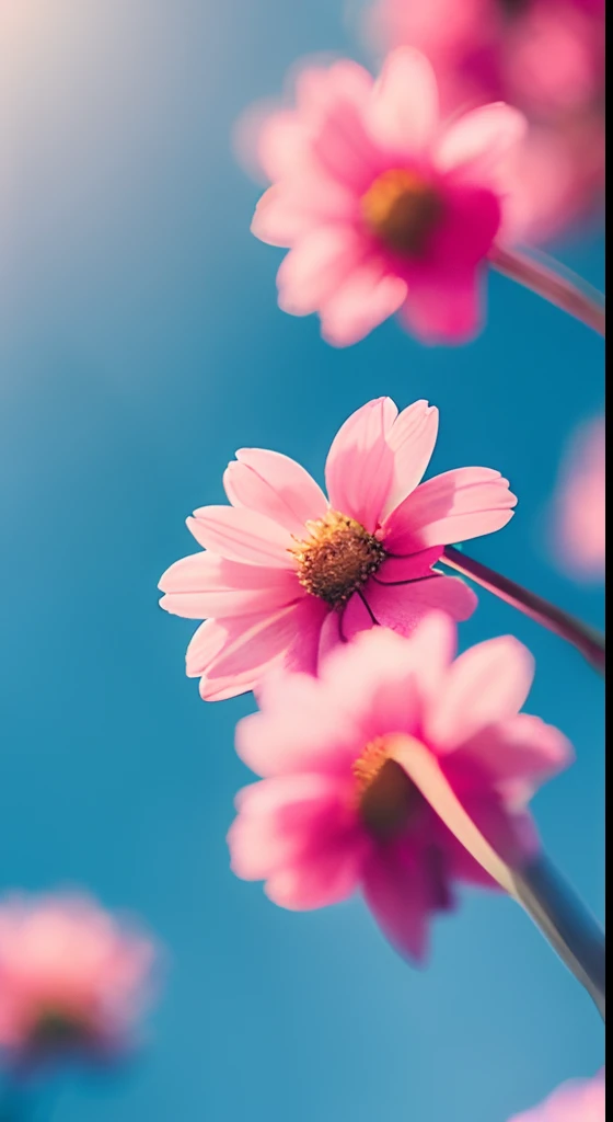 Pink flowers，Hazy background，and the sun was shining brightly，high detal，Perfectcomposition，first person perspective。