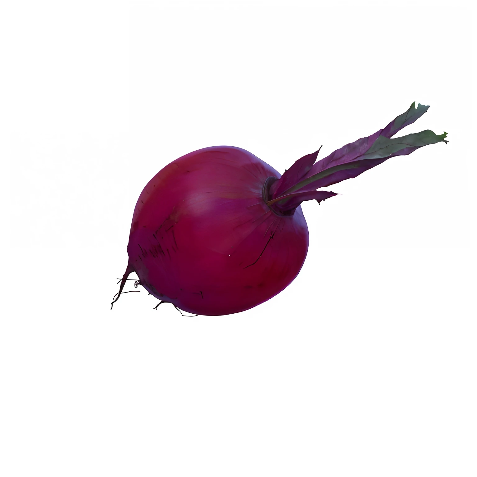 Realistic,Film light and shadow,Works of masters,High image quality,4K,Photorealsitic,beets,A plant,Brightly colored,bright