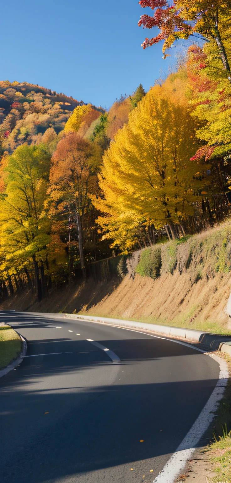 autumnal,blue-sky,mont,Golden trees,Downhill road,the sideview,NOhumans,No car