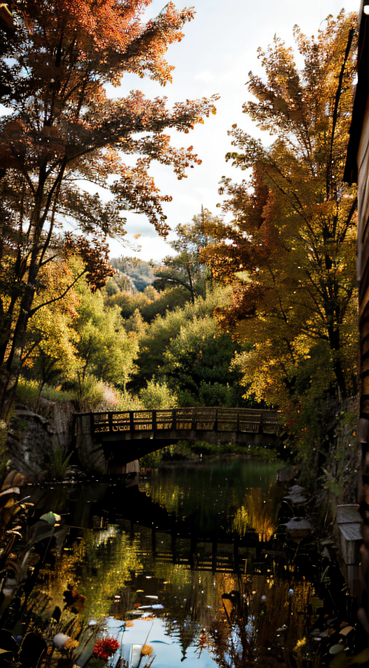 A Rustic Wooden Bridge