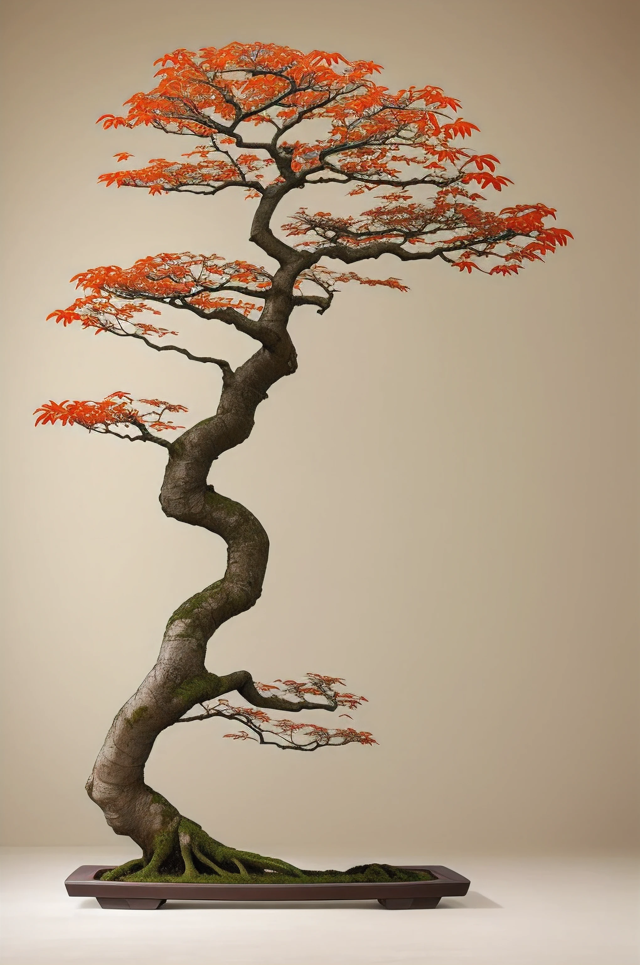bonsai on a gnarled branch against a grey background, simple background, in the style of light orange and light beige, minimalist images, photography installations, paleocore, green and crimson, hyper-realistic, poetic intimacy