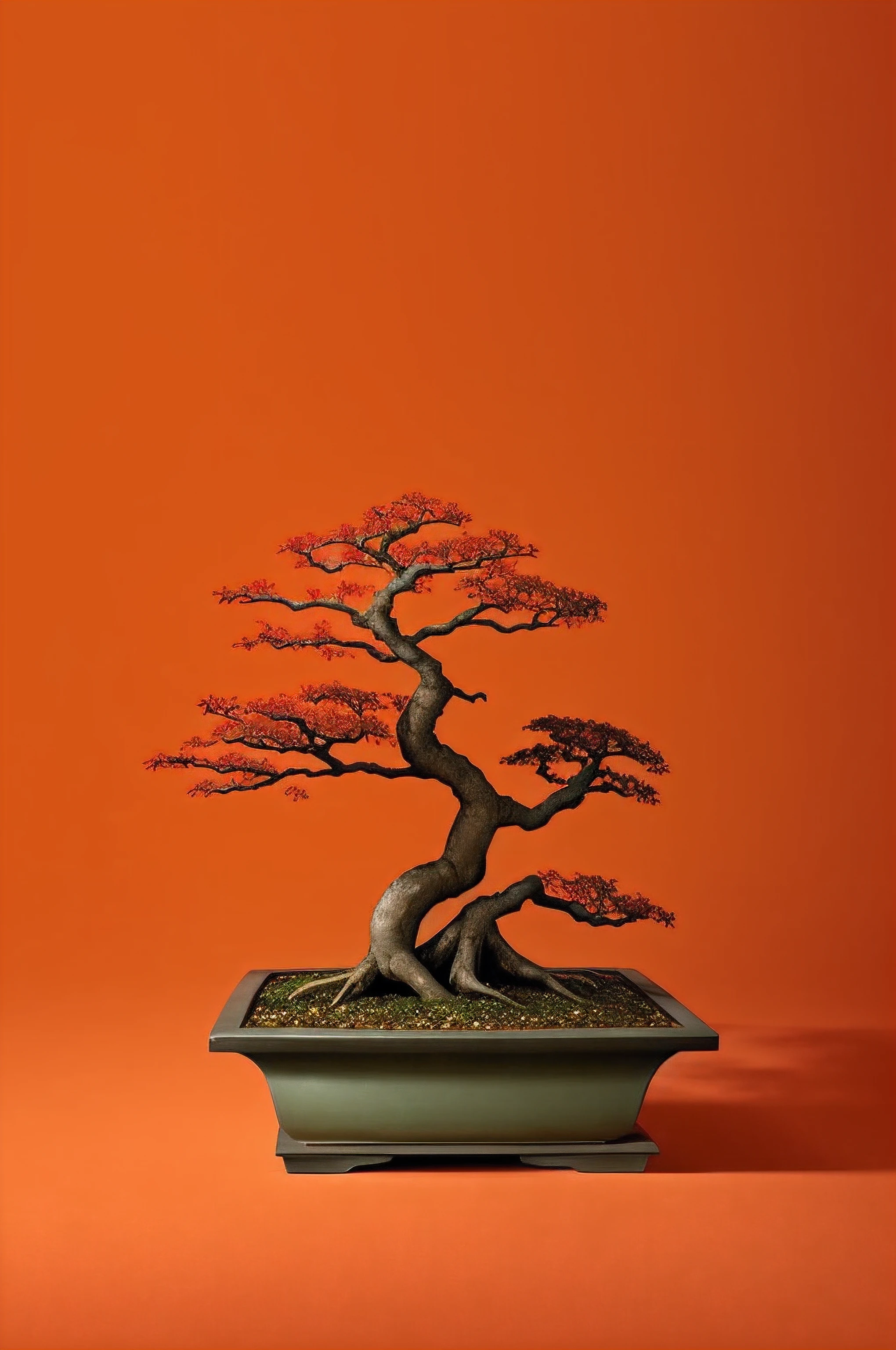 bonsai on a gnarled branch against a red background, simple background, in the style of light orange and light beige, minimalist images, photography installations, paleocore, green and crimson, hyper-realistic, poetic intimacy