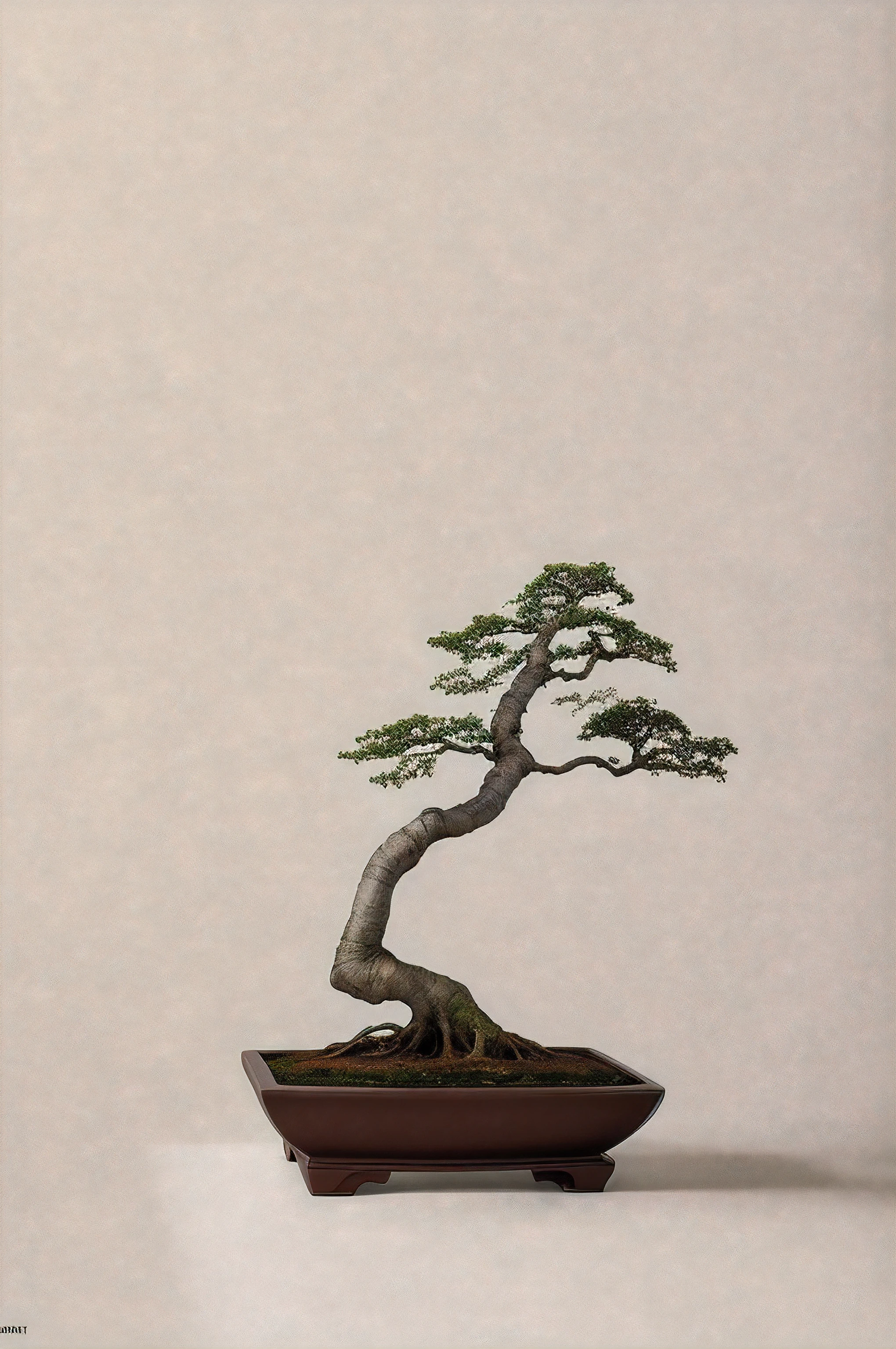 bonsai on a gnarled branch against a white blank background, simple background, in the style of light orange and light beige, minimalist images, photography installations, paleocore, green and crimson, hyper-realistic, poetic intimacy