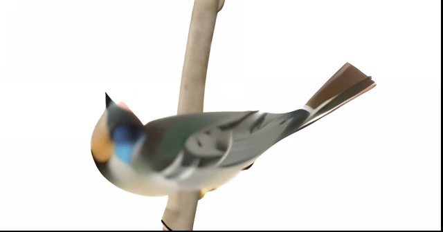 there is a bird that is sitting on a branch of a tree, tattoo of a california scrub jay, style of titmouse animation, upper body close - up, neck zoomed in, Zoom-out shot, zoomed, Bird, blurred detail, an illustration of, close up photograph, Close-up - upward photo, zoomed out to show entire image, female looking