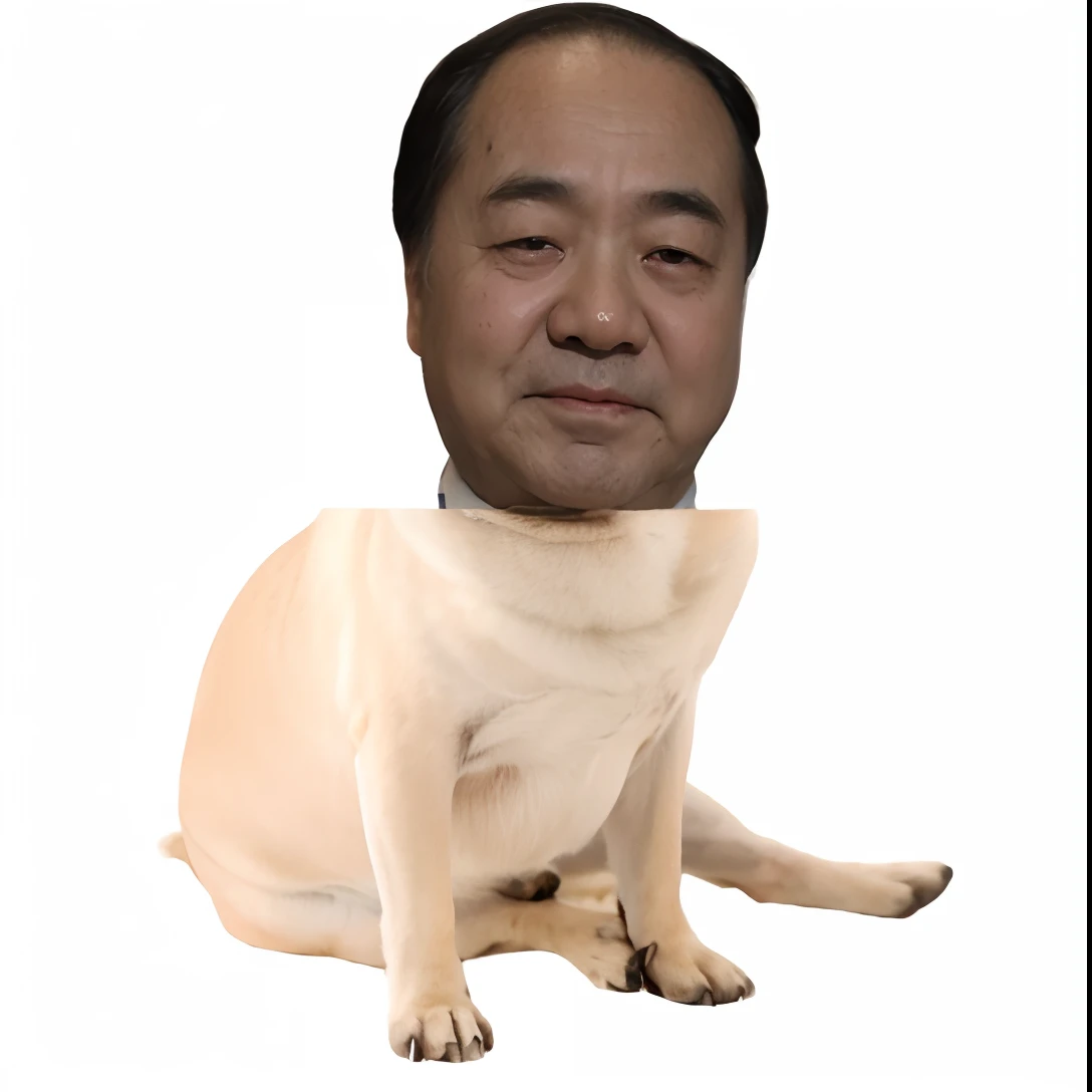 Japanese pug