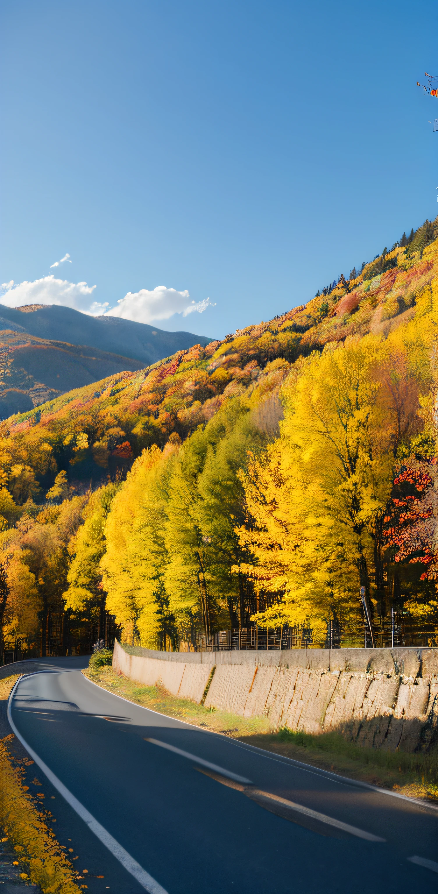 autumnal,blue-sky,mont,Golden trees,Downhill road,NOhumans