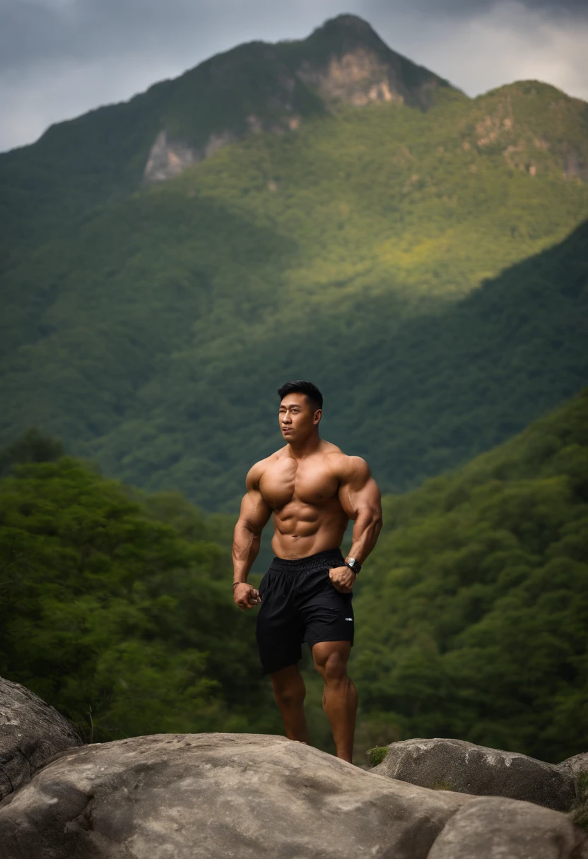 Nature,( a muscle man asian, handsome, big ) , huge pecs