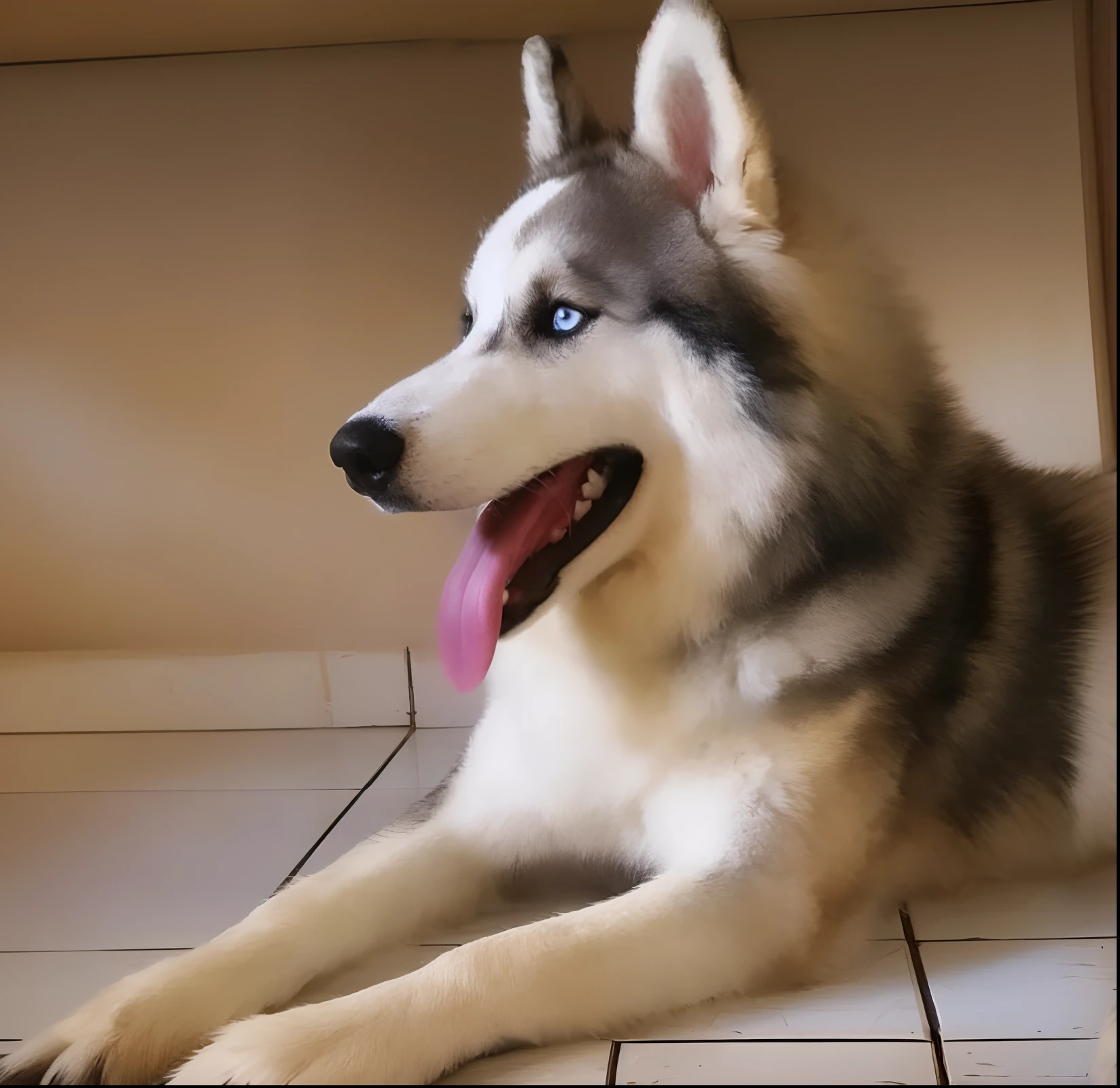 Arafed Husky Dog Lying On The Ground With His Tongue Out, husky dog, Husky siberiano, husky, very realistic appearance, Husky em armadura brilhante, foto de lobo, olhar orgulhoso, ultra high quality model, tem um olhar muito realista para ele, ultra realistic!!!, orgulhoso olhando para longe, extremamente bonito, muito realista, um bonito