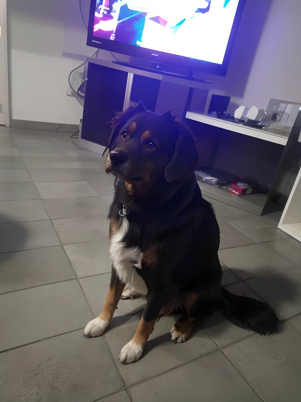 Cachorro transformado em um estilo de anime, with exaggerated facial features, fundo retroiluminado destacando o assunto, cores de alto contraste, 4K high-definition quality