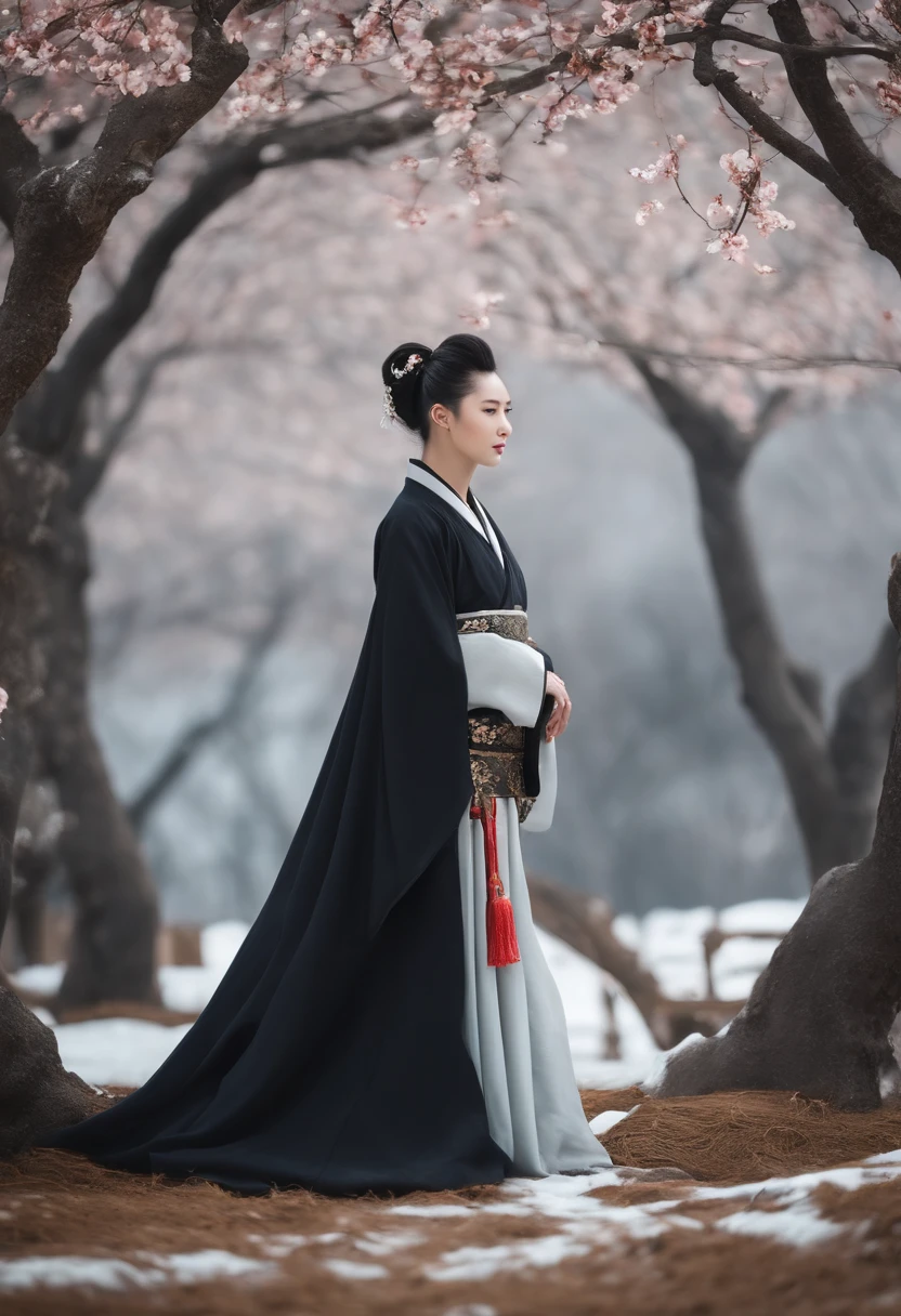 Texture details，Clear face，clear presentation，cabelos preto e longos，Handsome，With a sad face，Pale，Slightly muscular，Thin waist，Costume Hanfu，legs long，full bodyesbian，Sit under a plum tree，Accompanied by red-crowned cranes，Ambient snow scene