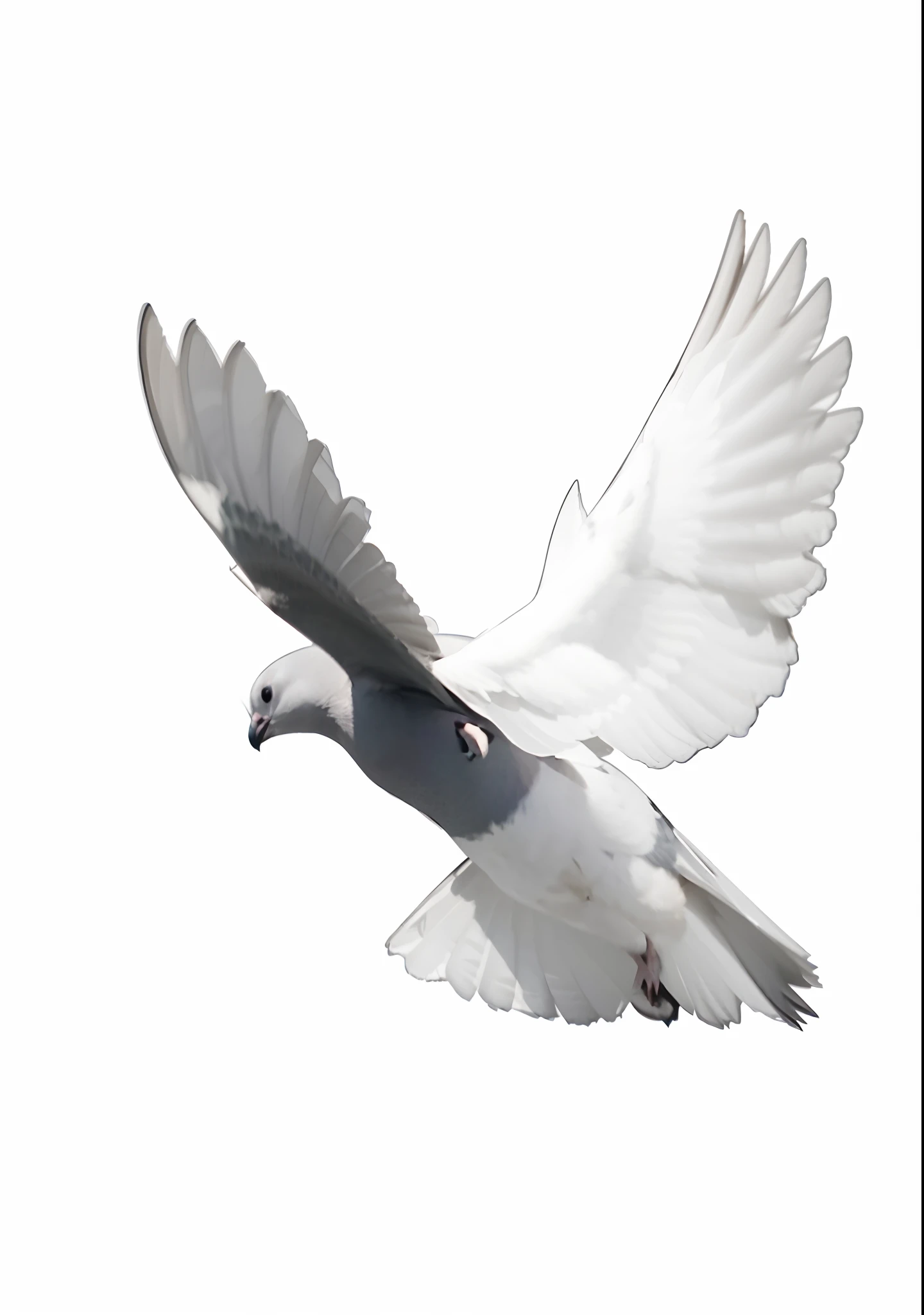 pigeon flying backwards, realistic