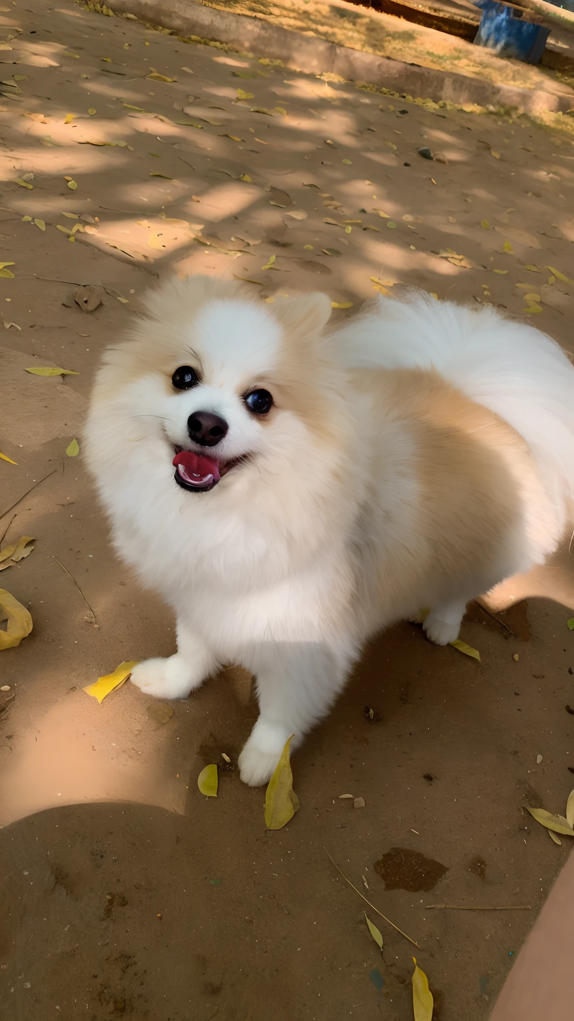 Tirar o fundo da foto e criar um personagem Disney de um cachorro fofo passeando no parque, com sol e feliz
