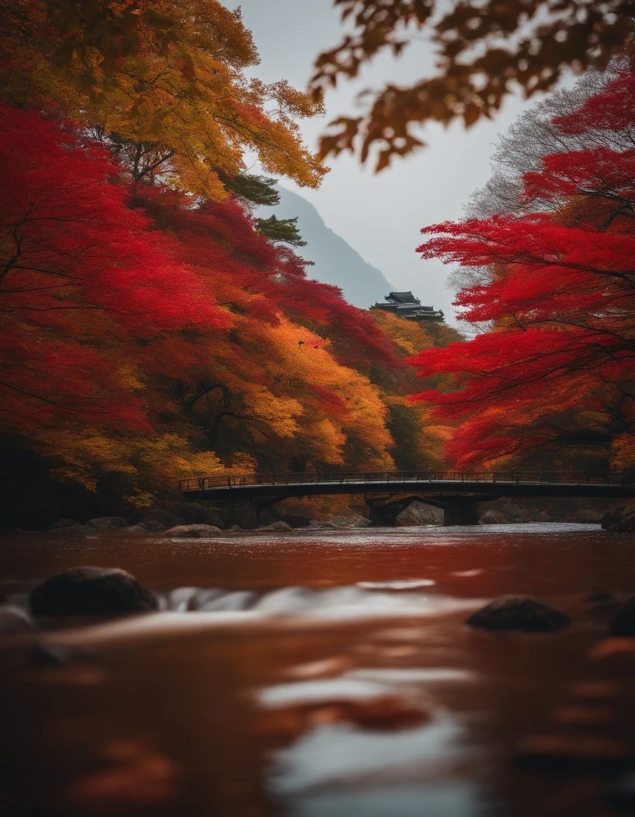 autumn in japan Landscape of autumn leaves red dragonfly Scenery like a photo 8k Best Quality、foco nítido