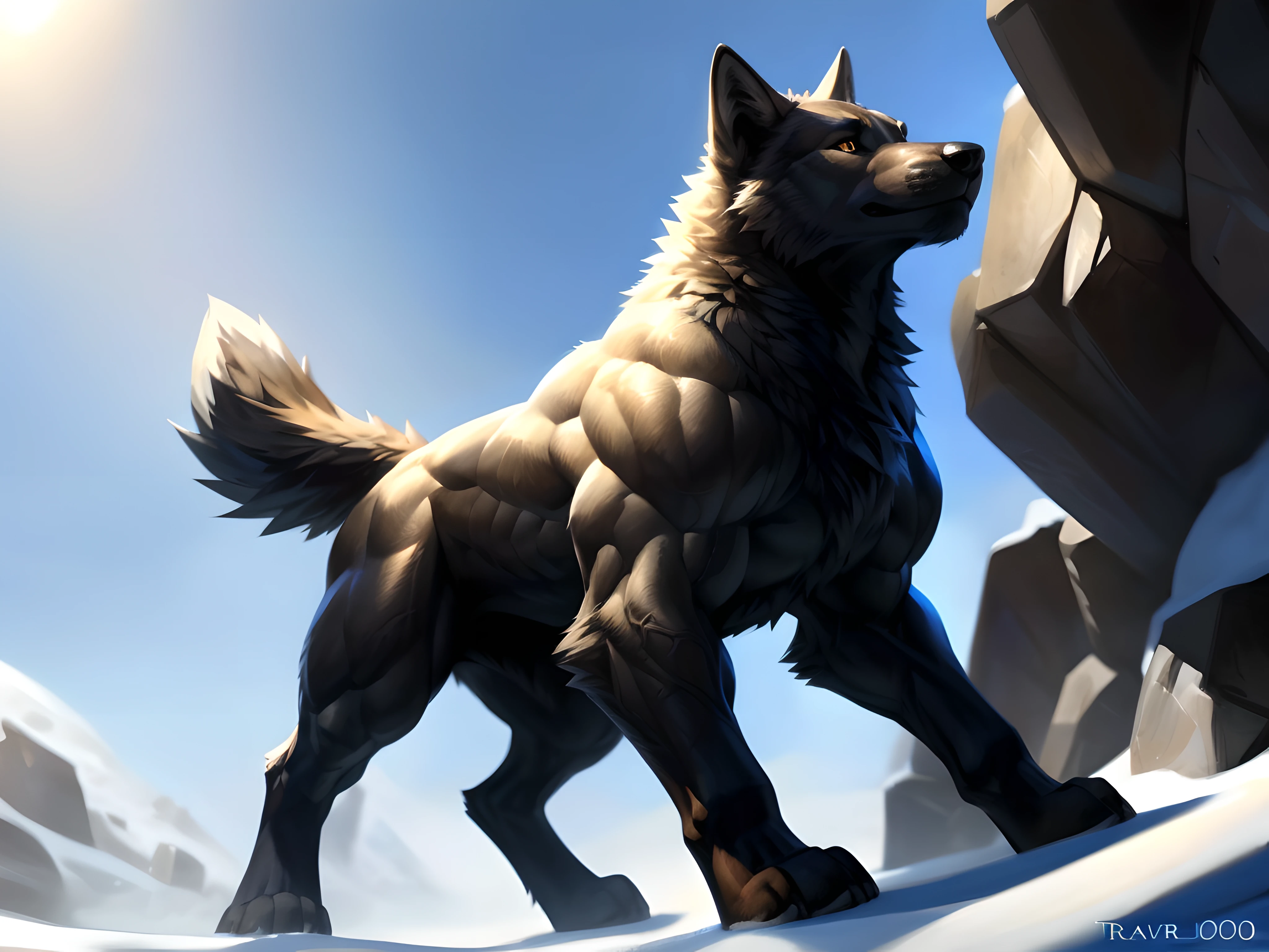 (masterpiece,Highest quality,Ultra-detailed,Perfect Anatomy),kemono,White background,Particles of light,Sharp focus,By Taran fiddler,alone,Anthro,Black Wolf,naked,Muscular (Black fur:1.5,Black body:1.5),Watching the audience,Fine grain,whole body,Black penis