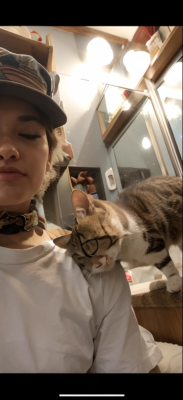 Cat hissing