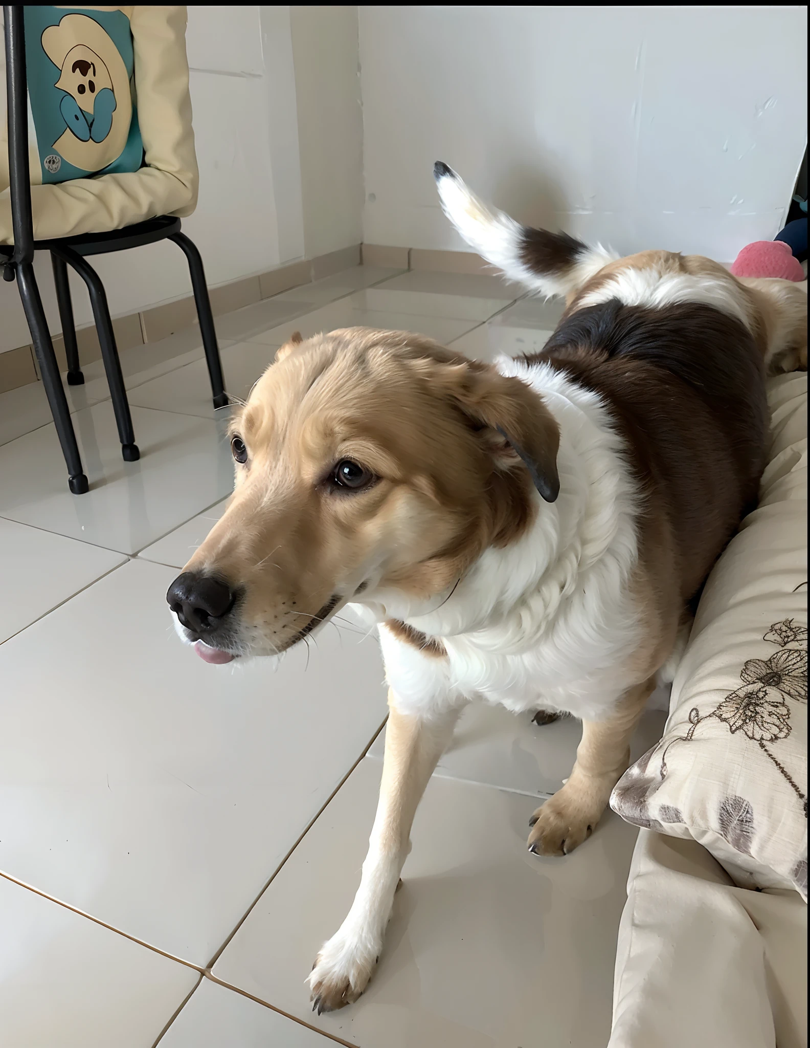 Disney Pixar 3D Movie Style Dog Standing on a Couch,  adult dog, ela tem cerca de 7 anos de idade, Me ajuda, peludo bonito precisa de sua ajuda, a foto mostra um grande, very artistic pose, obra-uprima muito bonita, ollhos detalhados
