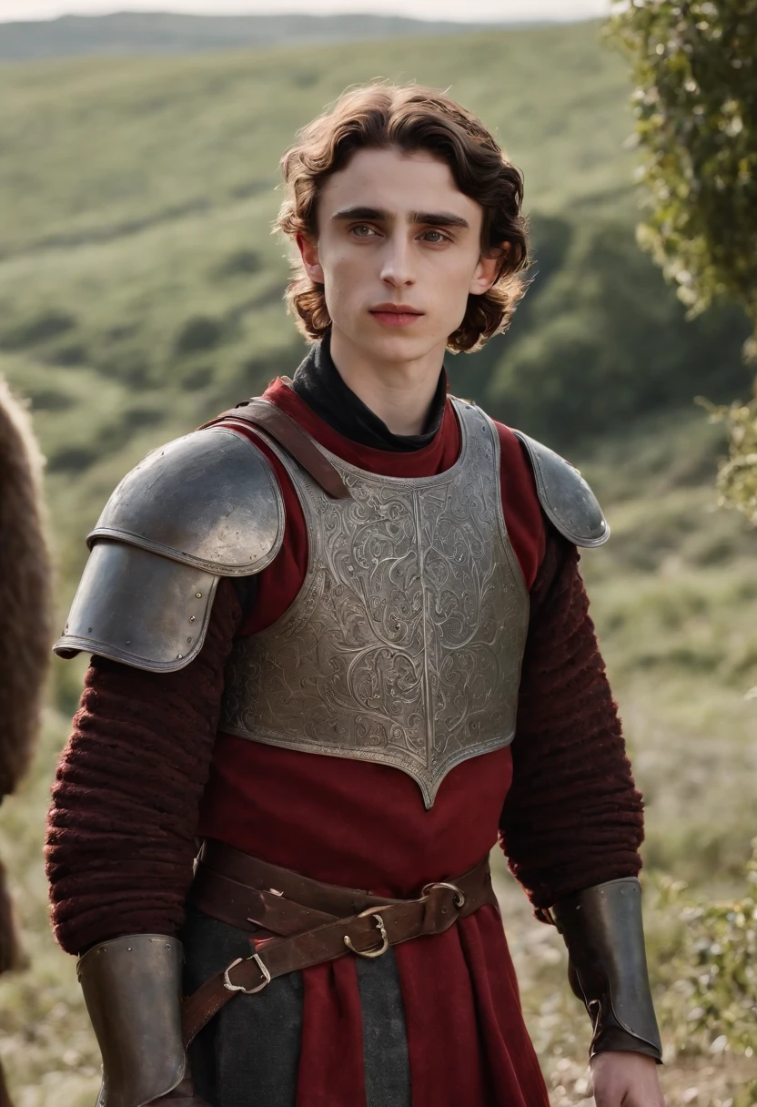 Timothee Chalamet, targaryen prince, red and black armor, medieval, ultra realistic, game of thrones