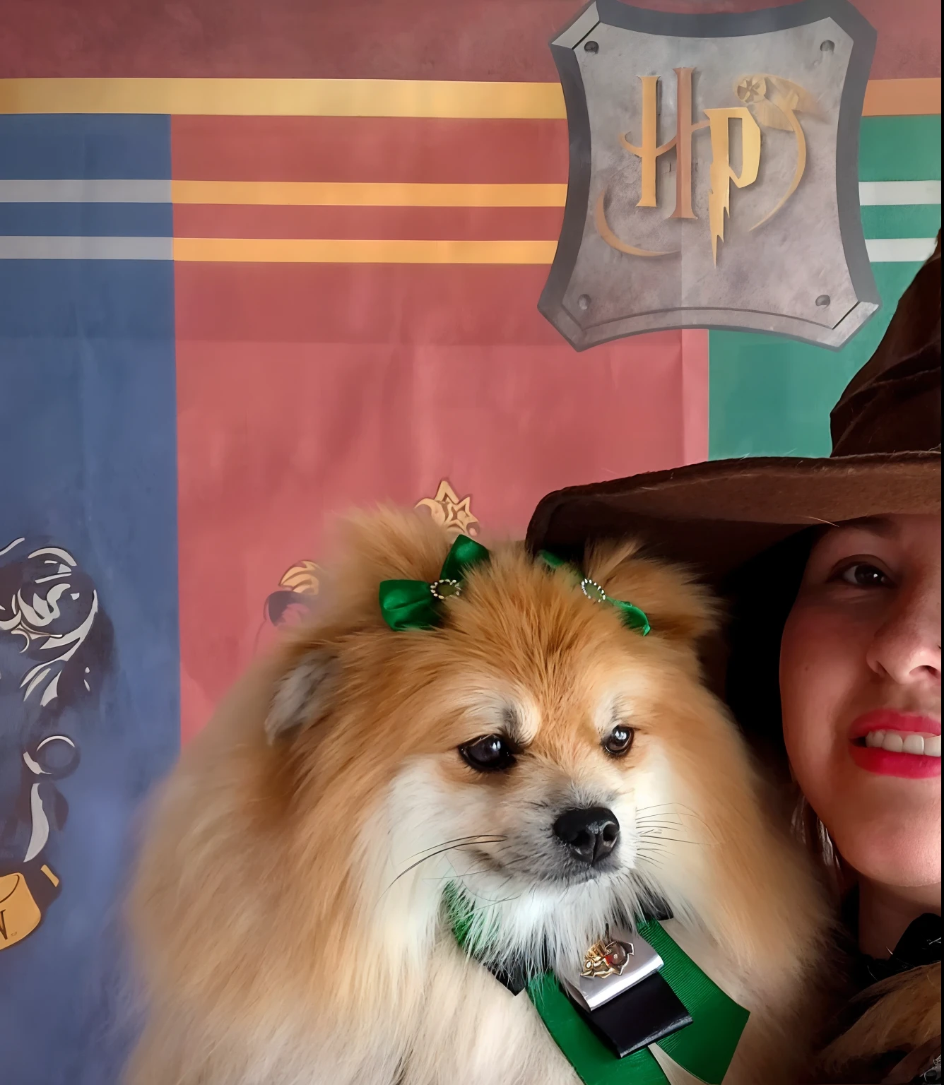 Arafed woman in a witch's hat and green scarf holding a dog, with magical creatures, wearing a wizard hat, vestido como um bruxo, em hogwarts, wearing wizard hats, wearing a witch's hat, archwizzard in a hat, wearing a grey wizard hat, In the Gryffindor common room, vestindo cartola verde, Directed by: Emma Andijewska