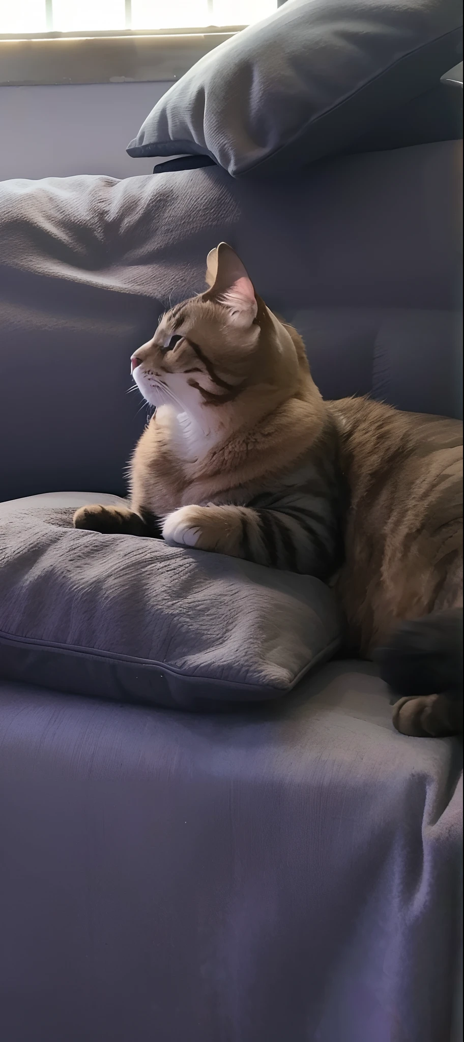 A cat lying on a high-quality sofa