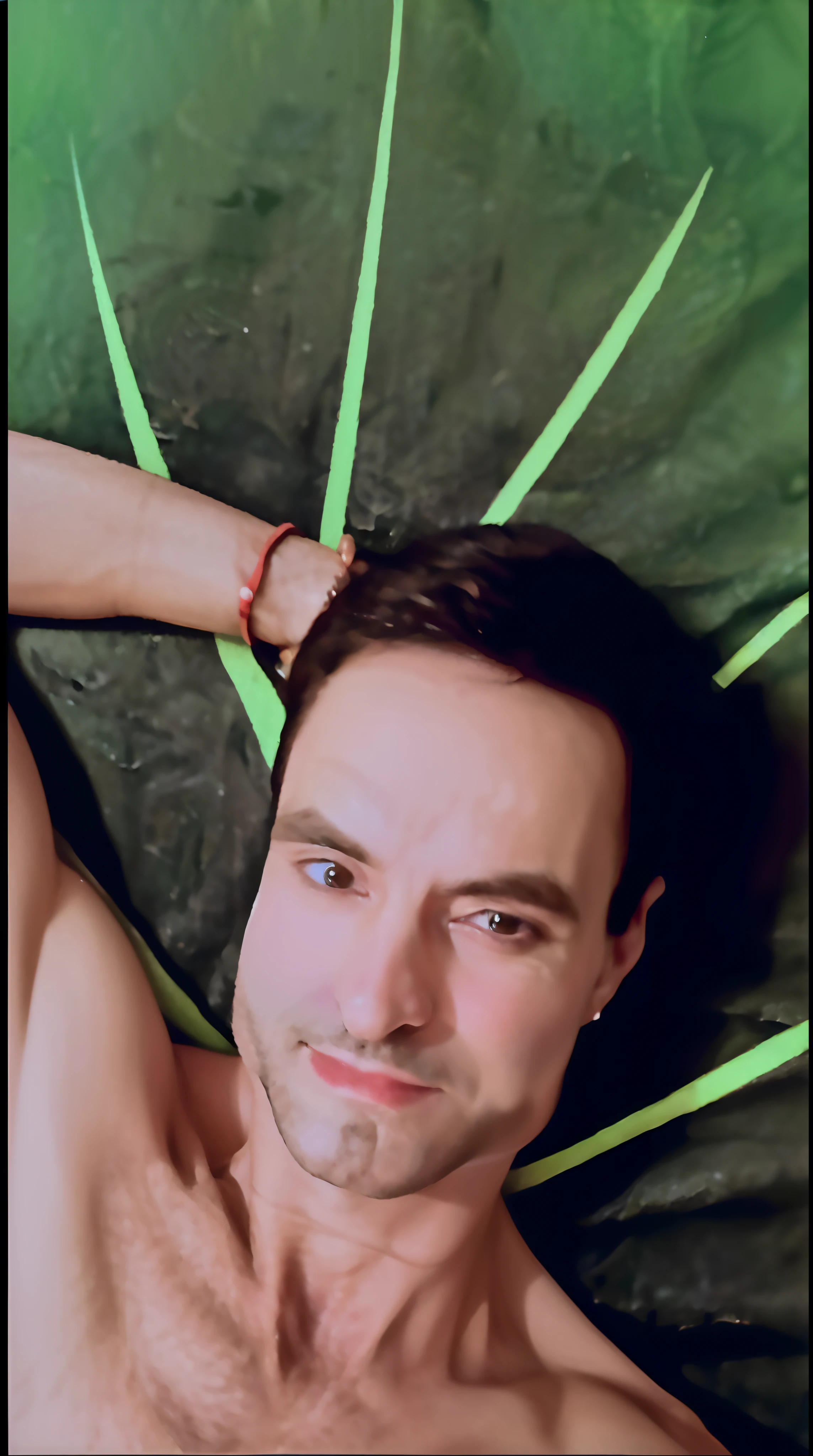 There's a man lying on a green leaf with his hands on his head, inspirado em Ludovit Fulla, imagem de qualidade muito baixa, pele de cor verde!!, imagem do avatar, foto de perfil, foto de perfil, Fotografia selfie 8k, pele verde!, foto do perfil, Raphael Personnaz, foto do snapchat, photo shoot, Upload de alta qualidade, album photo, 🌻🎹🎼