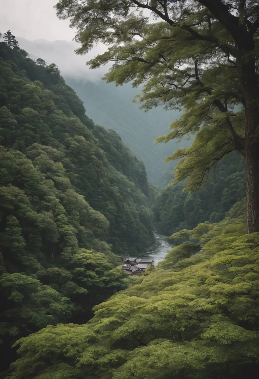 beautiful landscape in japan