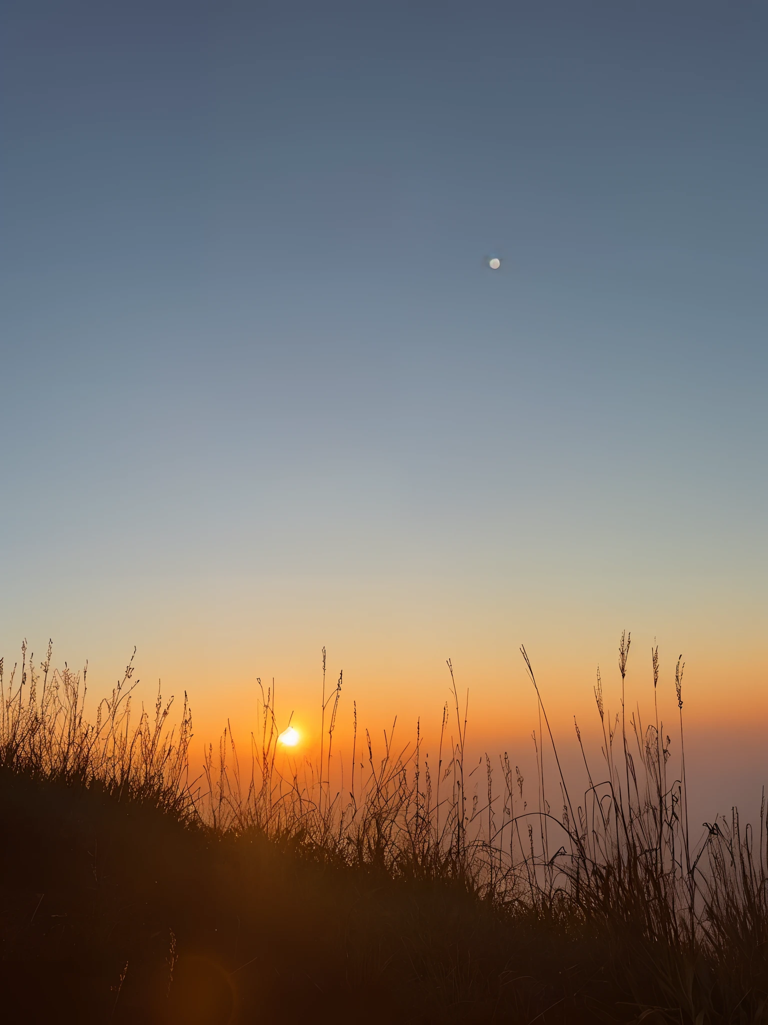 Arafis stands on a hill overlooking the sunset, two suns are in the sky, two suns are in the sky, two suns, planet in the sky, with a sunset, planet in the sky, author：Julian Allen, Early morning sunrise, dawn setting, Venus breaks dawn, author：Julian Hatton, two moons in sky, With sunset