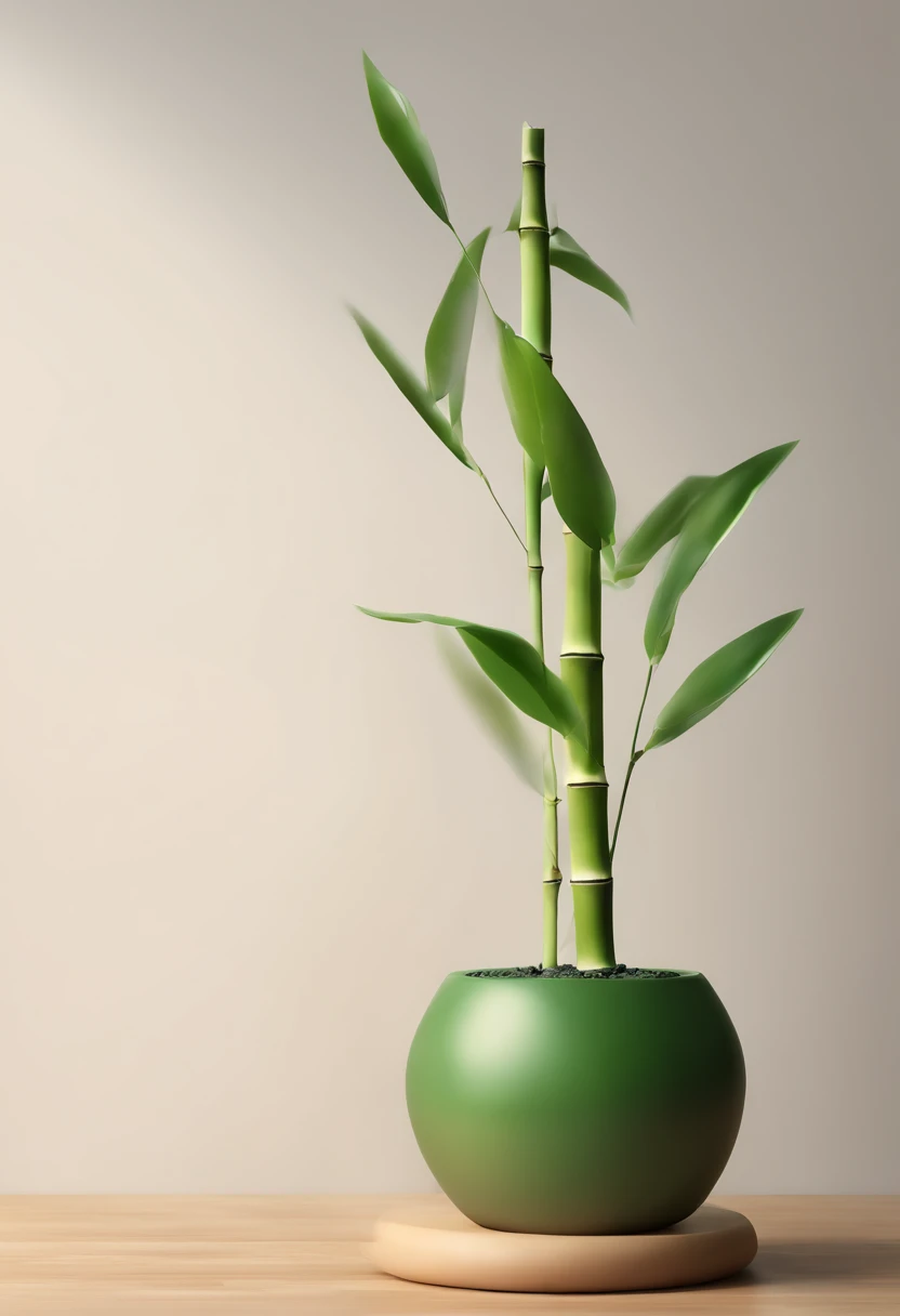 very small and cute bamboo, 3d cartoon being watered