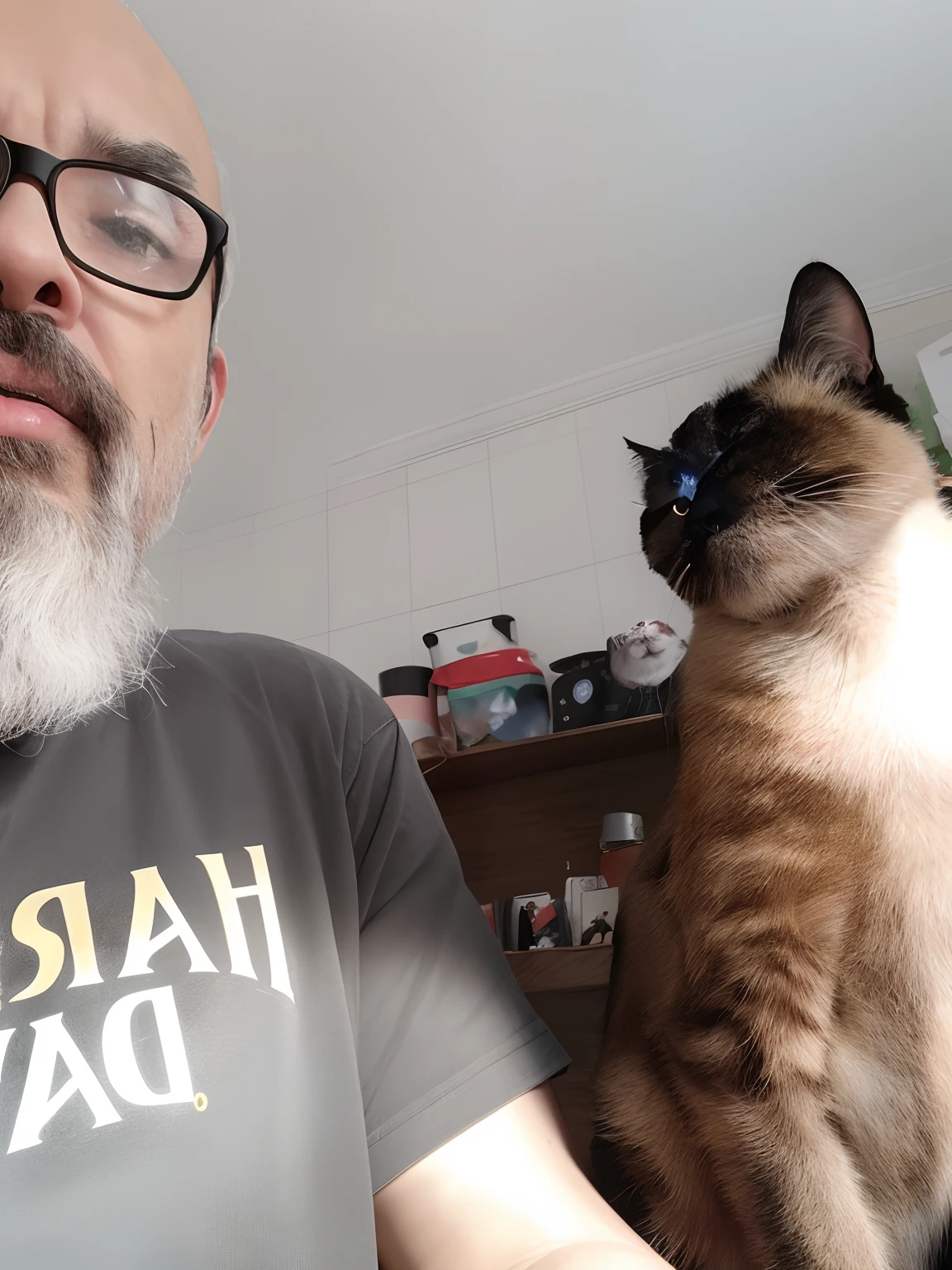 Man with beard and glasses sitting next to a cat, Tomado com Sony Alpha 9, looking to the side off camera, screaming at the camera, com gato pequeno no colo, aesthetic siamese cat, Looking away from the camera, looking away from camera, Looking directly at the camera, Assumido em Go Pro Hero8, foto do gato, looking-into-camera