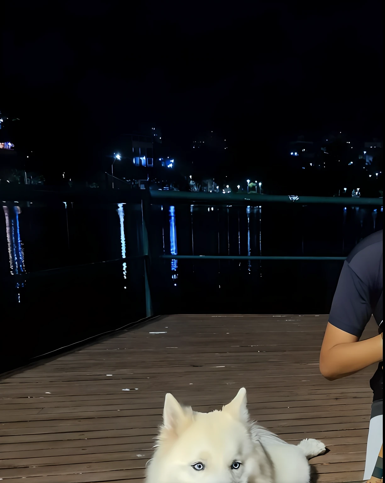 There's a boy kneeling on a dock with a dog, Tomado com Sony Alpha 9, with his hyperactive little dog, River in front of you, taken with the best dlsr camera, taken with sony a7r camera, with a kid, Tomada com Canon 8 0 D, with dogs, Tirada com Canon EOS 5 D Mark IV, with stray dogs