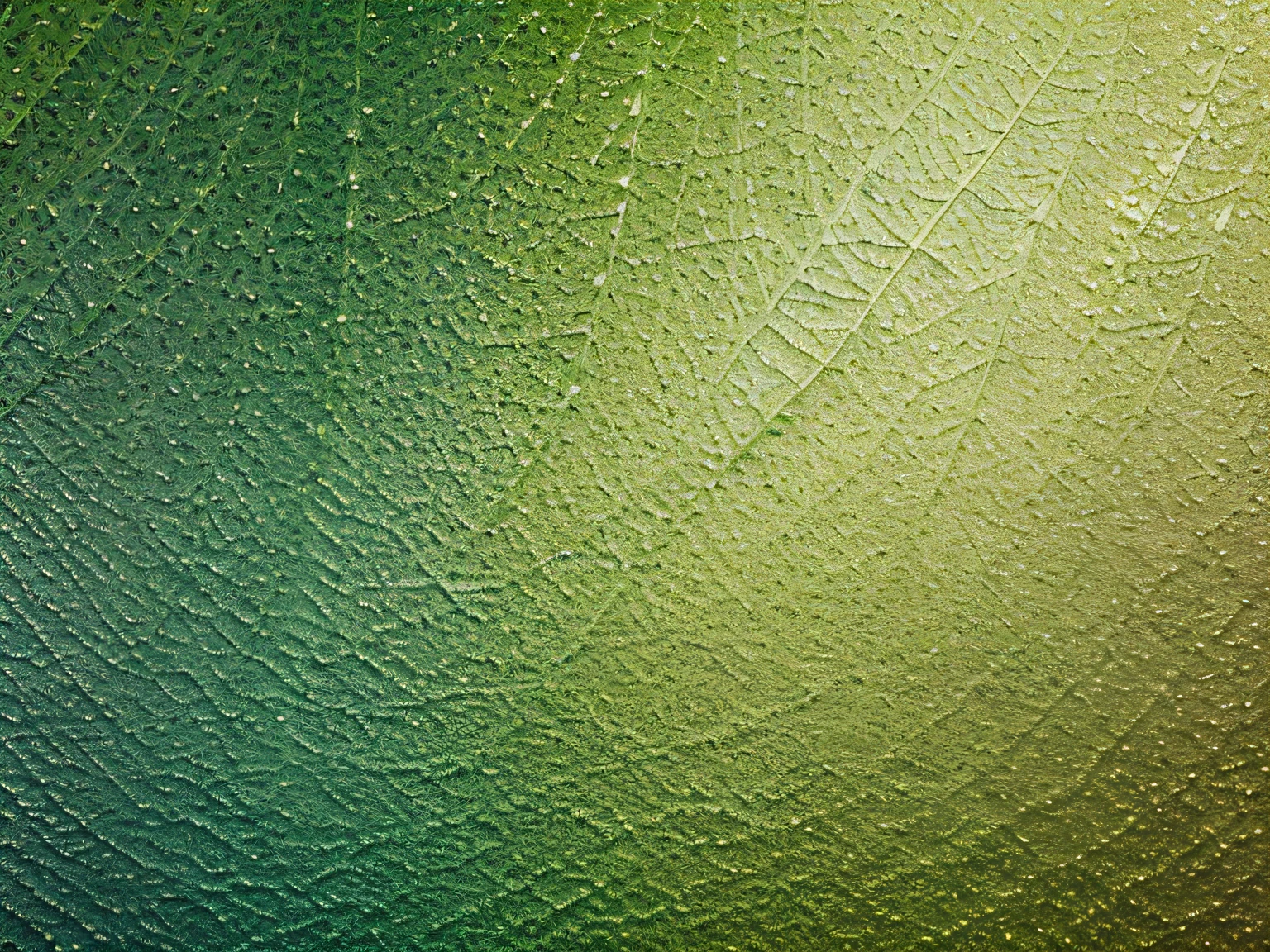 wallpaper, background (Papel pintado color verde hierba claro metalizado),(8k,UHD),(colores vibrantes,brillante), (Abstract pattern), (textura suave), (moderno,contemporary)