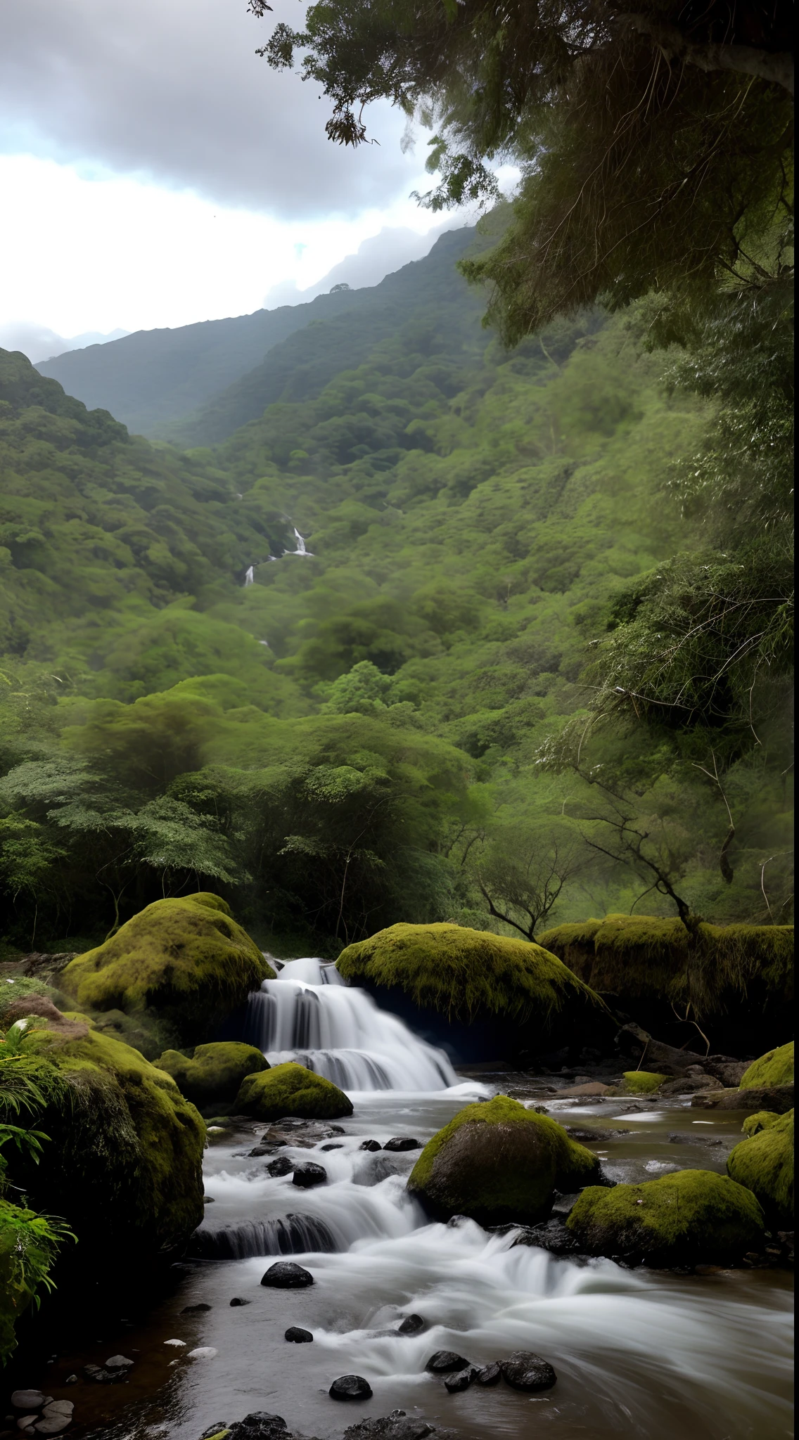 There is a stream that runs through a lush green forest full of rocks, Floresta e Cachoeira, lush mossy canyon, vale exuberante, with trees and waterfalls, verdejante e exuberante e coberto, lush scenery, com cachoeiras e rio, um rio que corre com cachoeira, uma cachoeira sem fim, lush scenic landscape, Floresta exuberante no vale abaixo, paisagem exuberante, paisagem exuberante da floresta