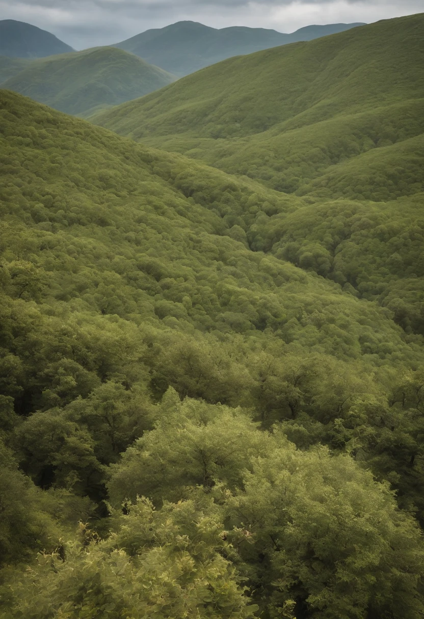 Topo das Montanhas、Chegar ao cume、vista bonita、 incredible composition, Suba ao topo、You can see the top、Chegar ao cume、Summit of the Mount、Reach Out、