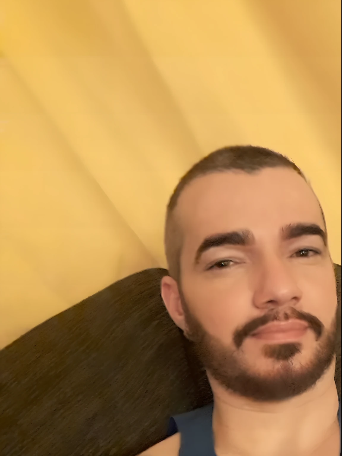 Man with beard and captain's shirt lying on a sofa, (38 anos), 2 7 anos, 3 2 anos, 2 8 anos, imagem de perfil, foto de perfil, 2 9 anos, Streamer do Twitch / Jogador Ludwig, 3 6 anos, 38 anos, 3 2 - ano - homem de idade
