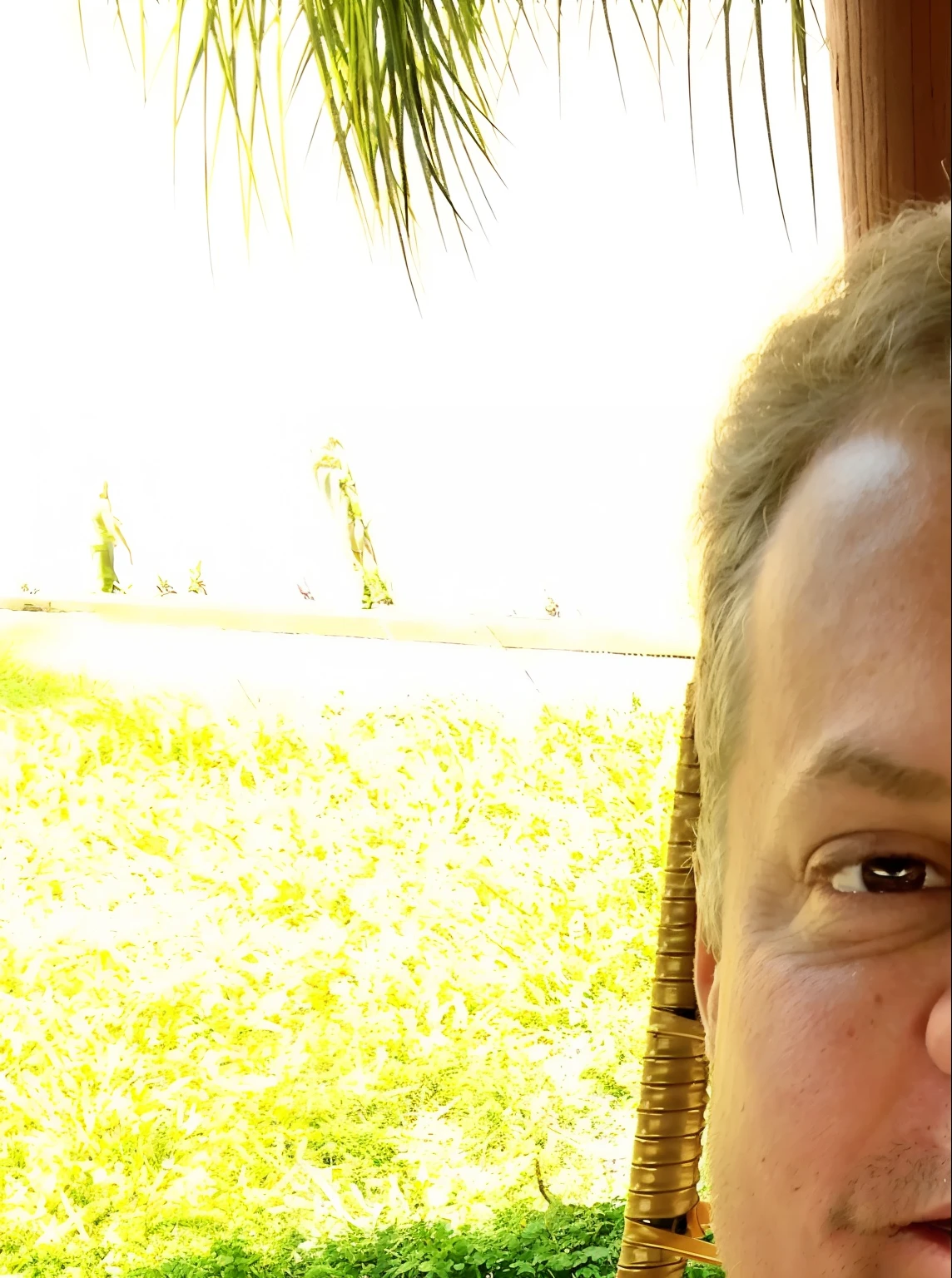 Homem branco sentado em uma cadeira com idade entre 40 e 46 anos sorrindo. Cabelos castanhos claros, fundo com grama
