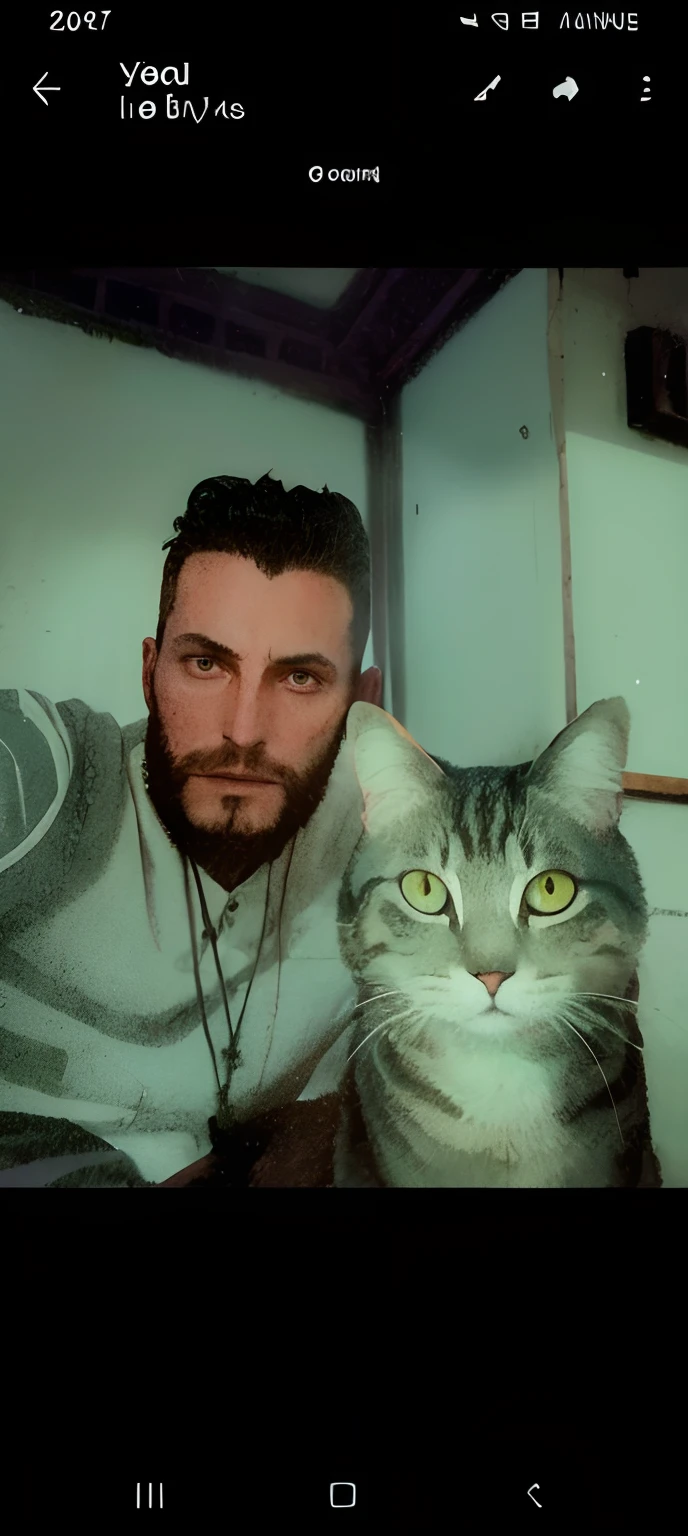 Un homme et un chat aux yeux arrondis, La lumière du soleil à l’extérieur de la fenêtre