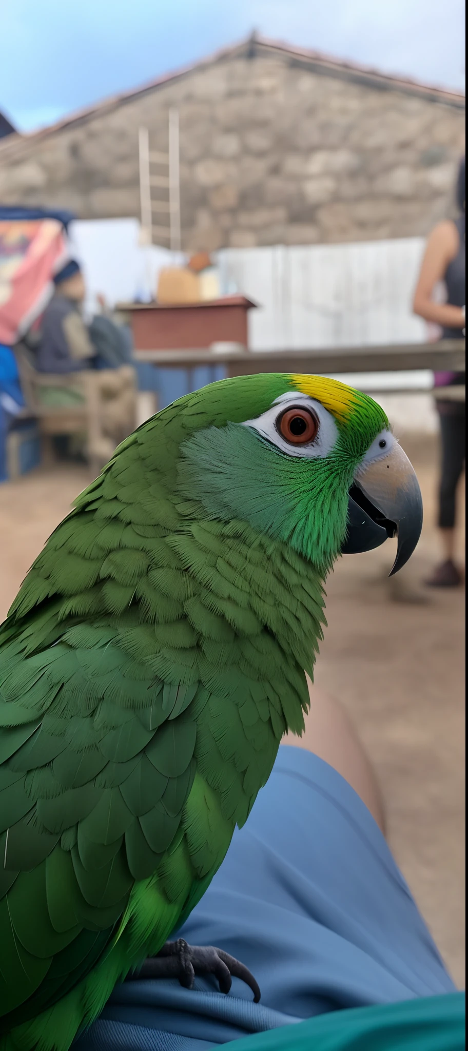 There is a green parrot sitting on a lap of people, papagaio, green head, olhos amarelos esmeralda, barriga verde fofa, parrot on head, com um papagaio grande, adulto jovem masculino, com um papagaio no ombro, orgulhoso olhando para longe, Olhar peruano, pet bird, looking to the side off camera, 2 anos, arrogant expression, mid 2 0's female