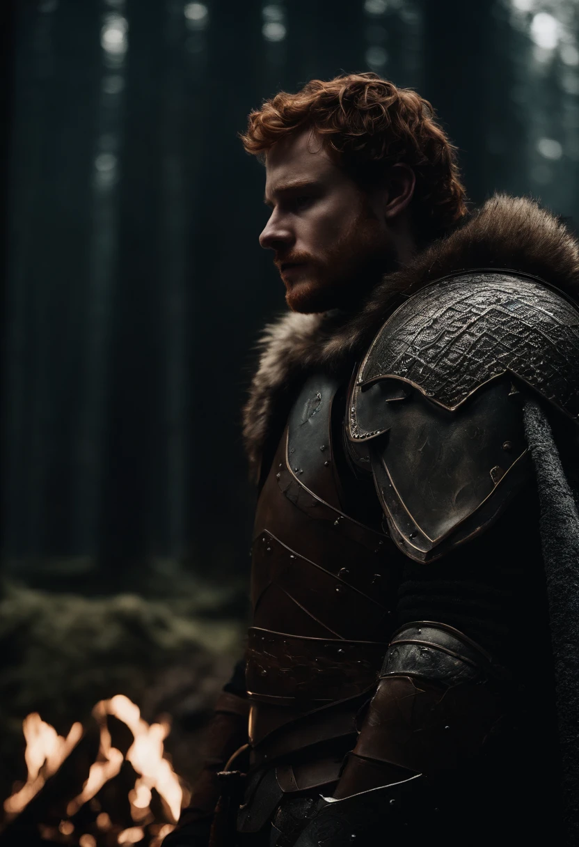 Ed Sheeran as Robb Stark, with a northern armor full of bronze, and his giant with wolf by his side