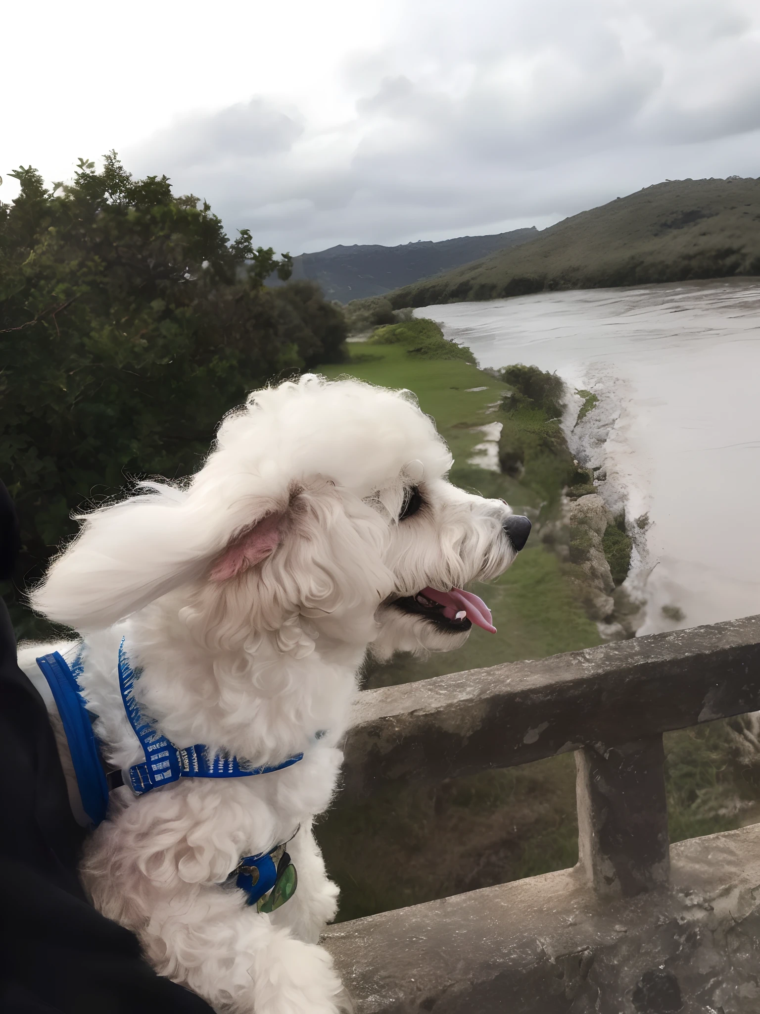 (8k, Foto RAW, best quality, master part:1.2), (Realistic, photo-realistic:1.4), ultra-detalhado, (pele altamente detalhada:1.2), 8k UHD, DSLR, soft lighting, alta qualidade, filmic grain, White poodle dog, Outdoor Disney Pixar Animation Style