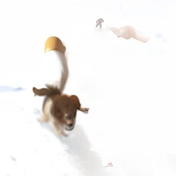 there is a small dog running in the snow with a frisbee, running freely, leaping towards viewer, ( dog ) jumps over hill, running towards camera, jumping towards viewer, running towards the camera, small dog, leaping, running fast towards the camera, dog jumps over hill, cute dog, puppy, ( dog ) jumps from mountain, jumping for joy