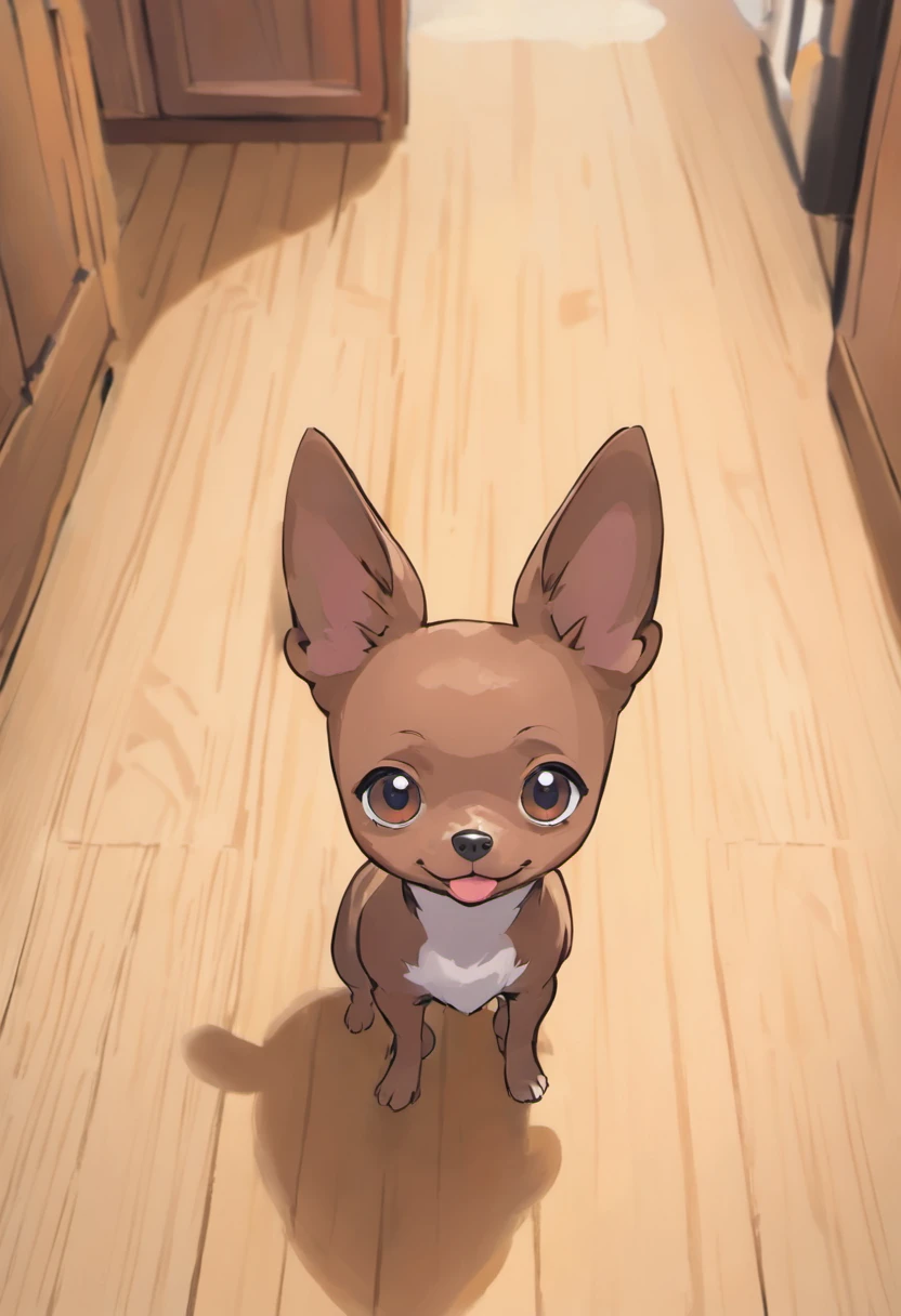 There's a small dog standing on a wooden floor looking up, breed russian brown toy terrier, small dog, Dog cute, staring directly at camera, Looking towards the camera, looking defiantly at the camera, staring directly at camera, !! looking at the camera!!, looks into the camera, olhar curioso, is looking at the camera,