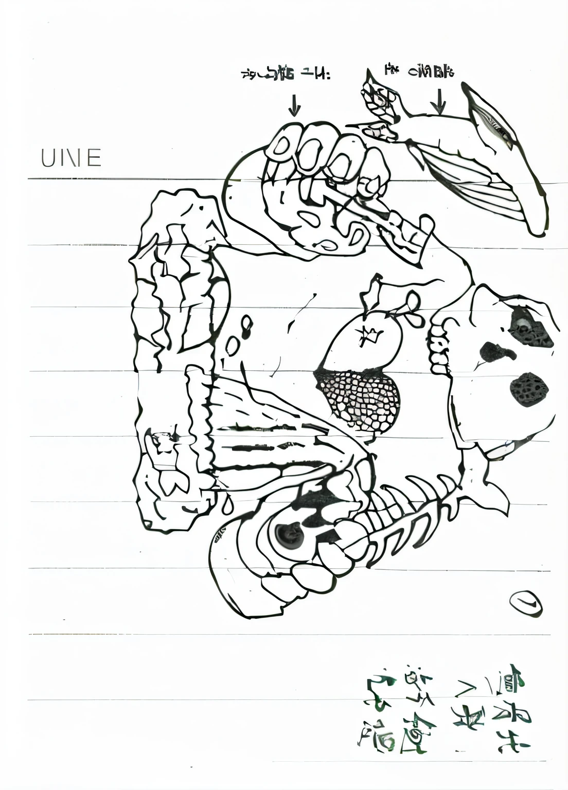 Half of a person's head is made of fish bones,Half of it is human bones, one hand is dumping nuclear wastewater, one hand is holding a red wine glass, half of the heart is red evergreen grass, half of the heart is black rotting body、planet earth、Fish soaked in black water