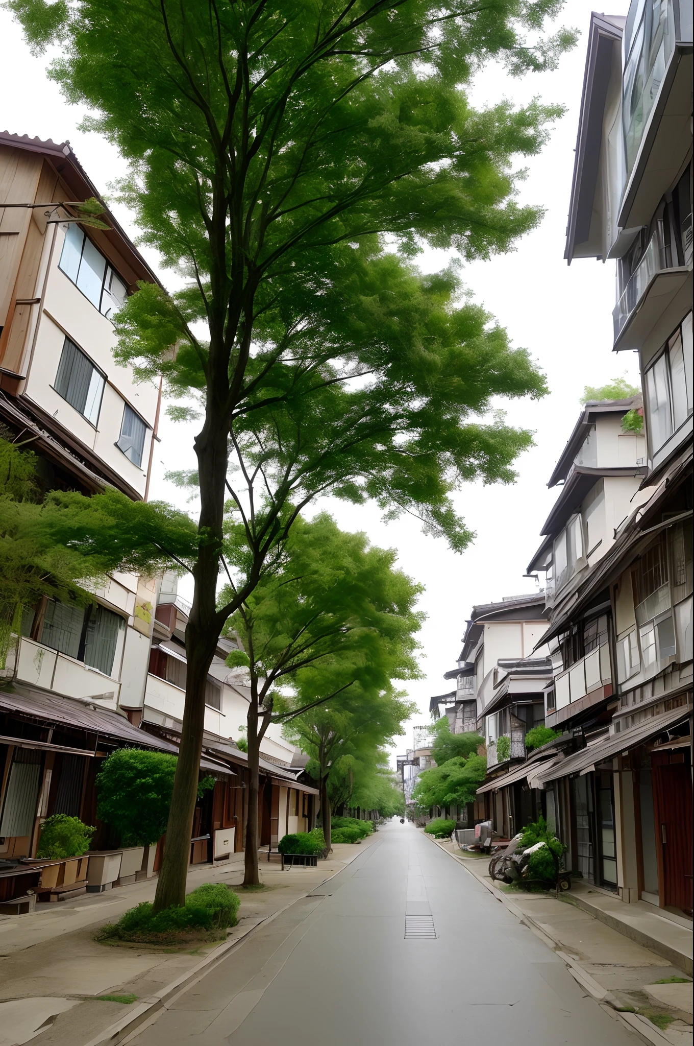 Ordinary、Street Trees、Nothing out of the ordinary、buliding
、I don't see any buildings