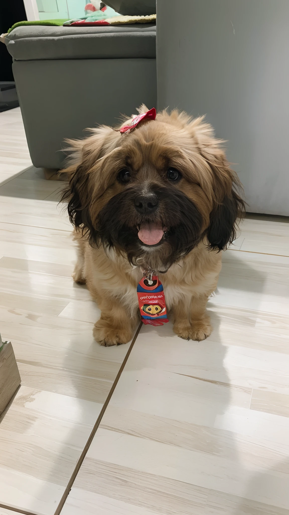Gorgeous dog