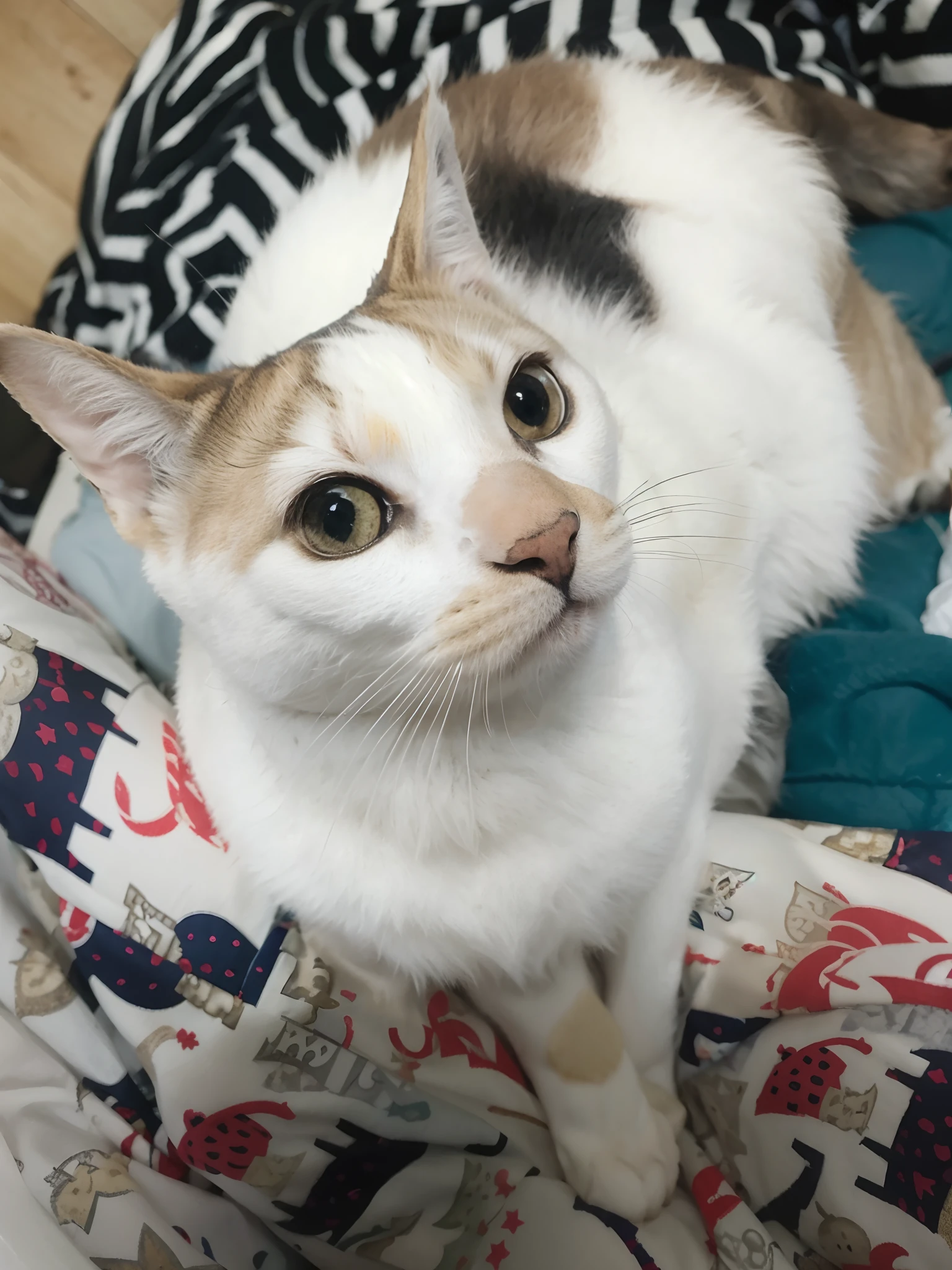 gata fofa de nome Luna no estilo disney pixar