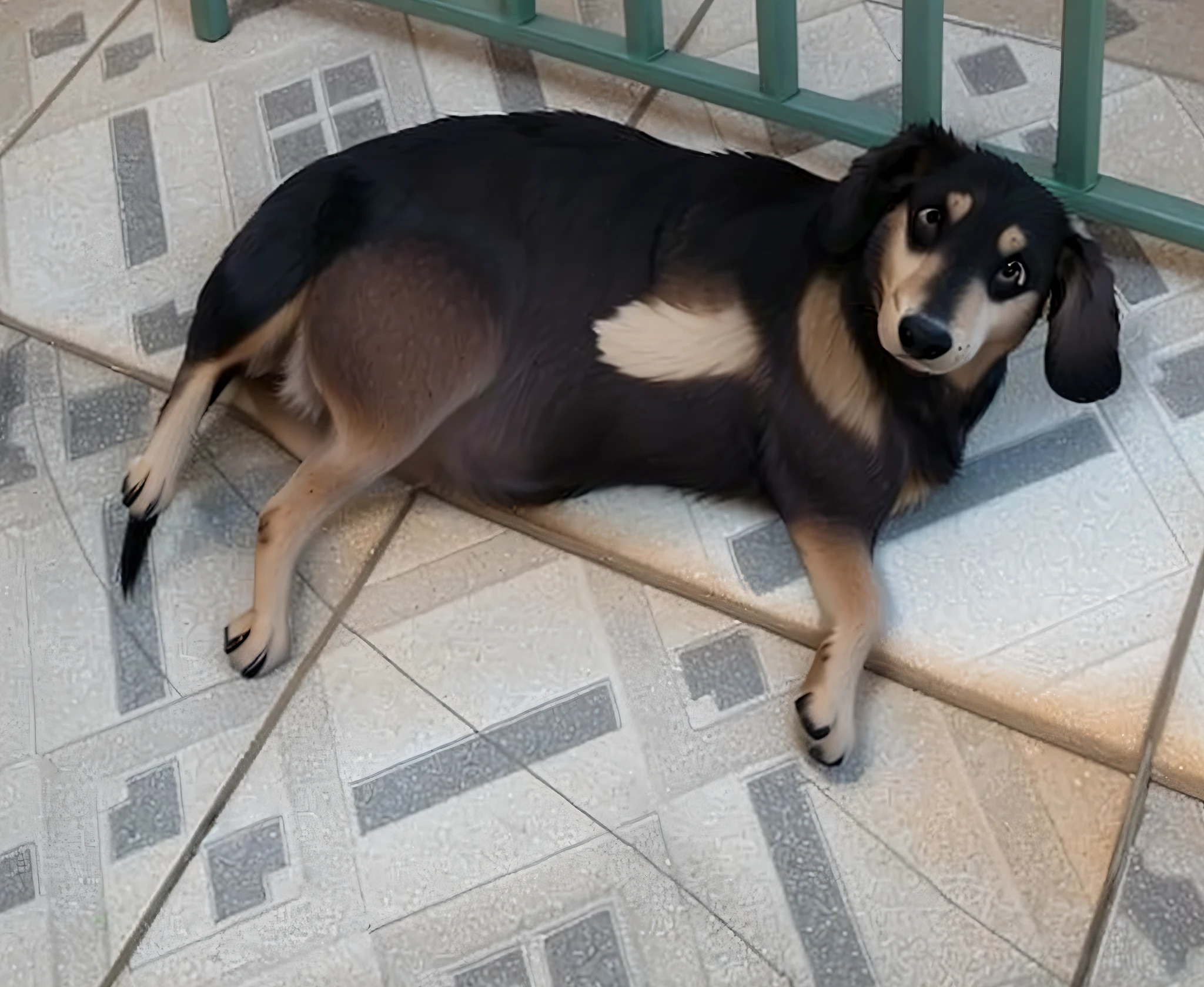 there is a dog that is laying down on the ground, macho emagrecido, she is laying on her back, emaciado, fazendo uma pose elegante, Pose satisfeita, he is very relaxed, resting on a tough day, pose suave e calma, dramatic pose, repousando no peito, relaxed pose, very perfect position, peludo bonito precisa de sua ajuda